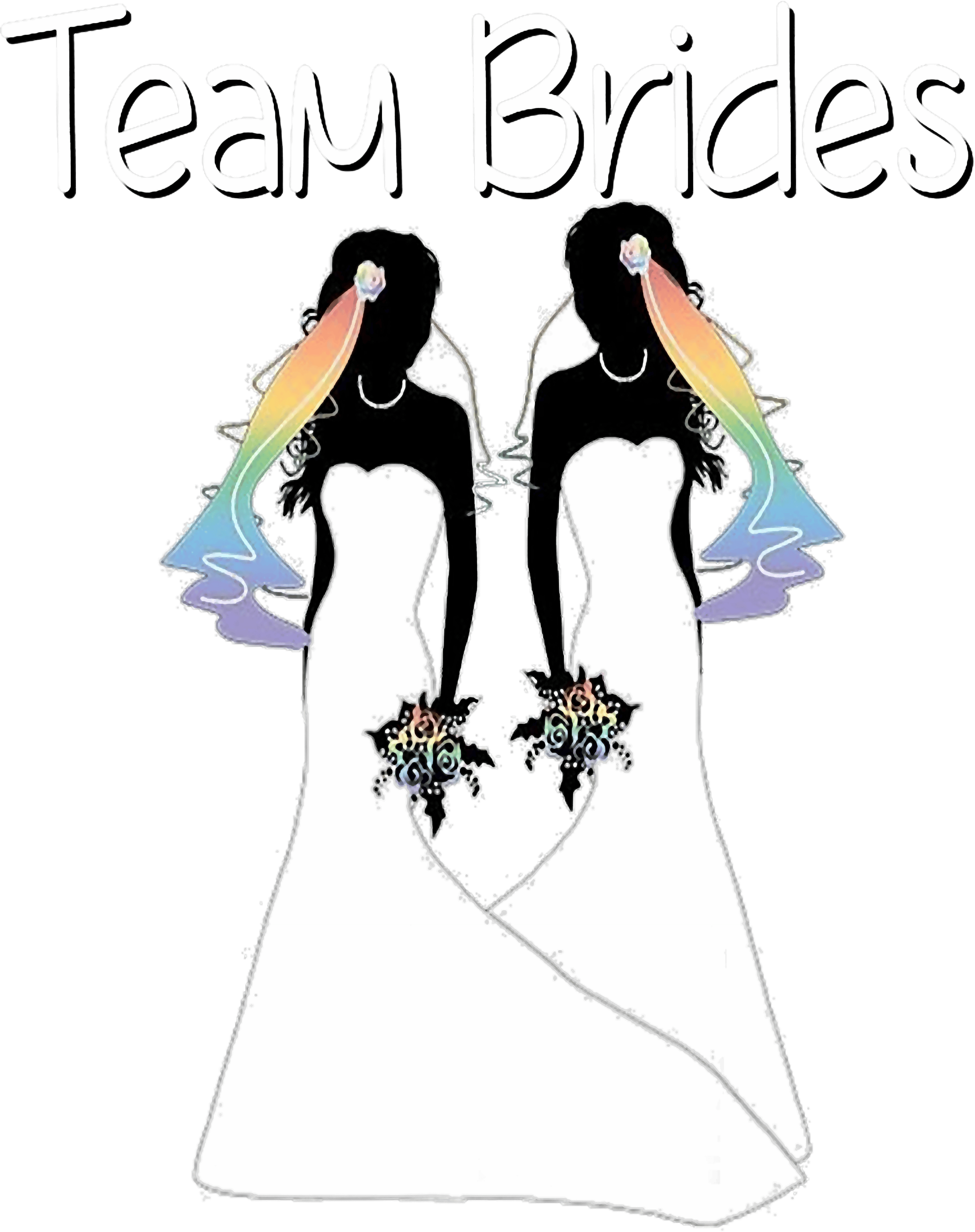 Team Brides Rainbow Veil Brides DTF Transfer