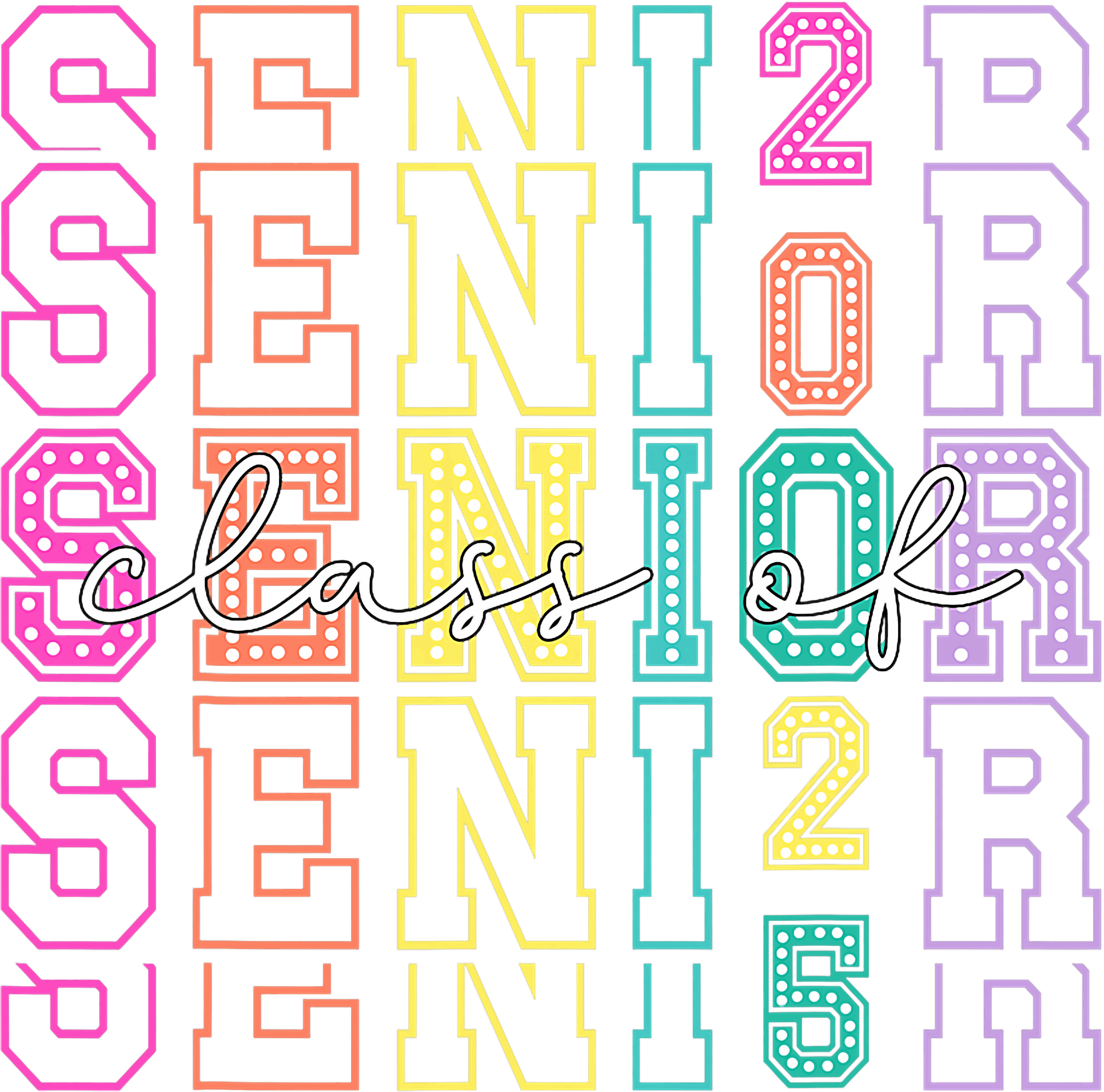 Senior Year Pride DTF Transfer