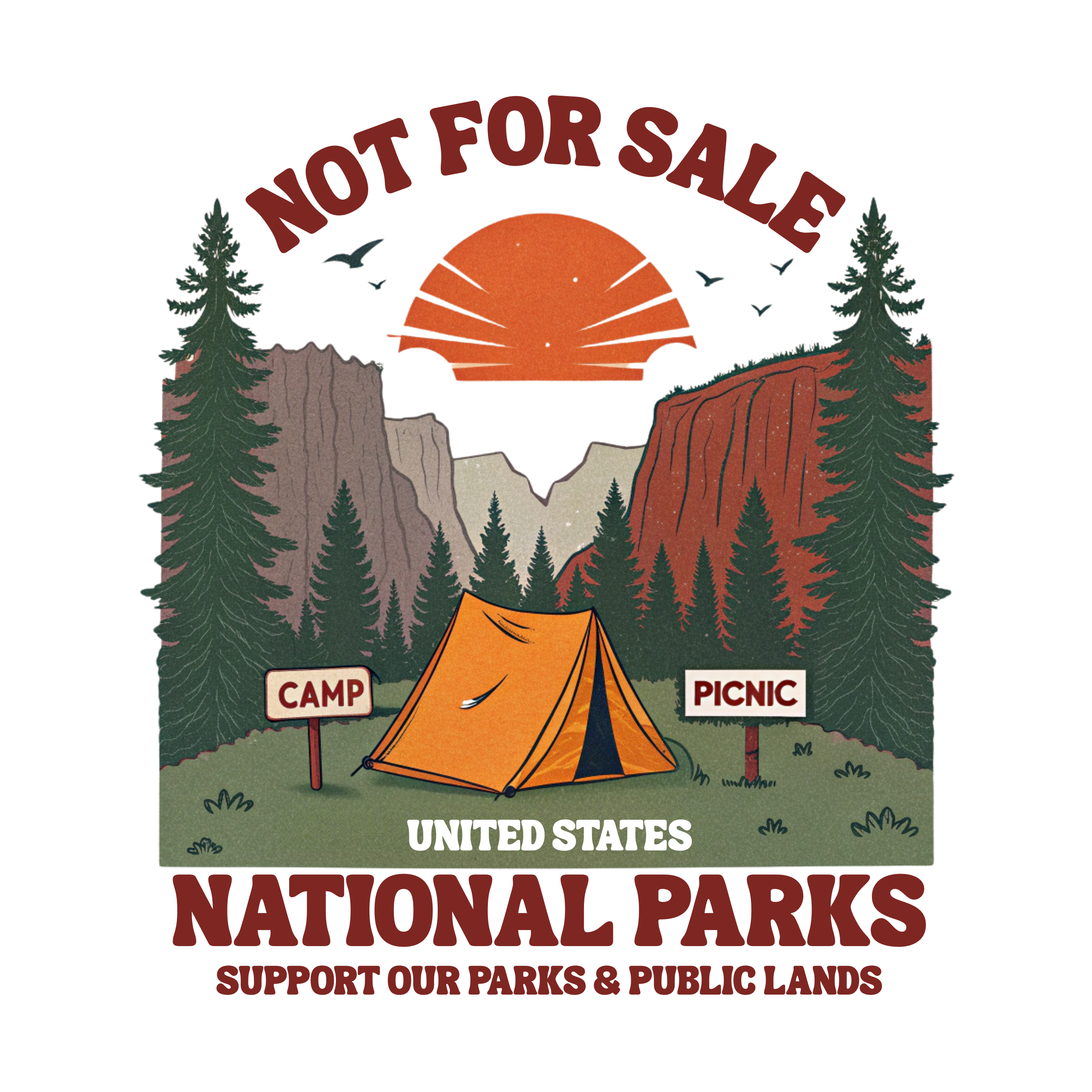 National Parks Camping Adventure DTF Transfer