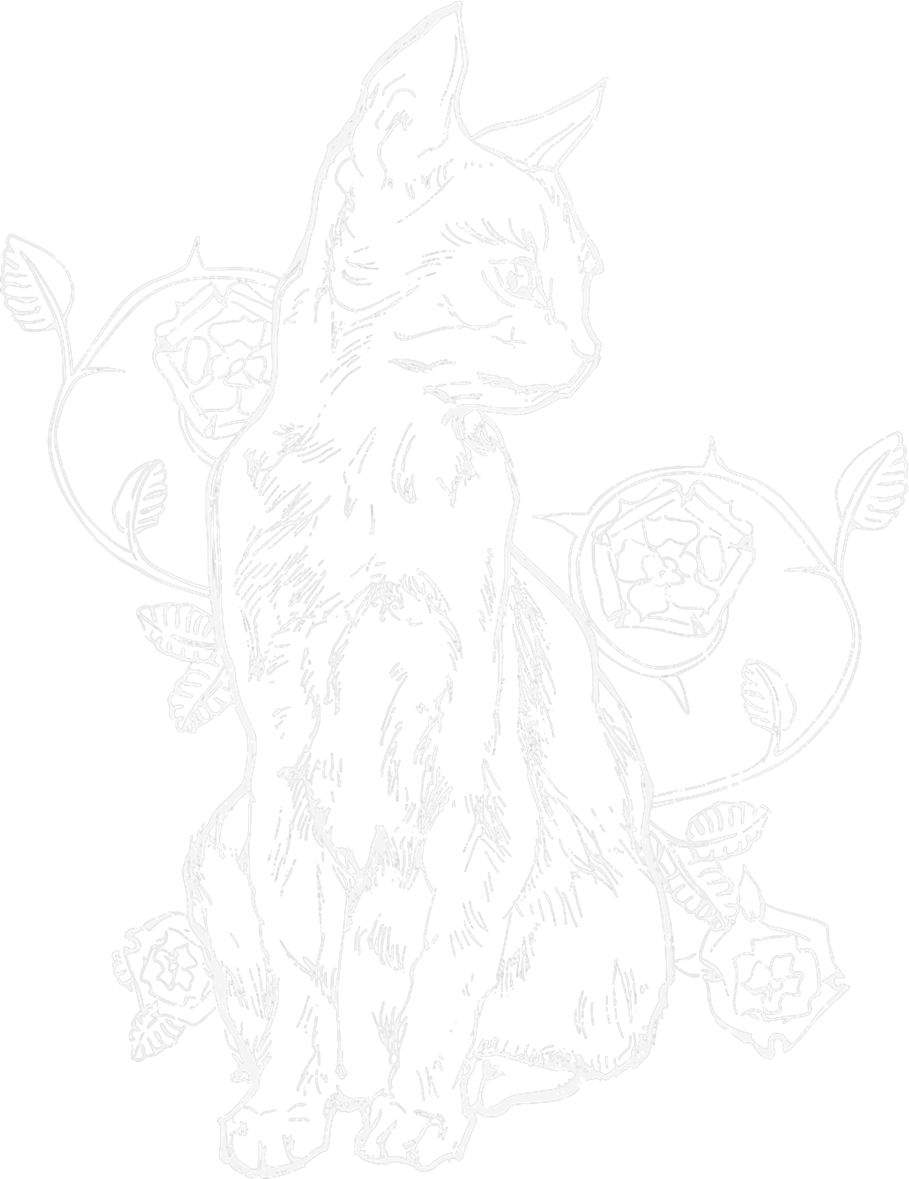 Mystic Rose Shadow Cat DTF Transfer