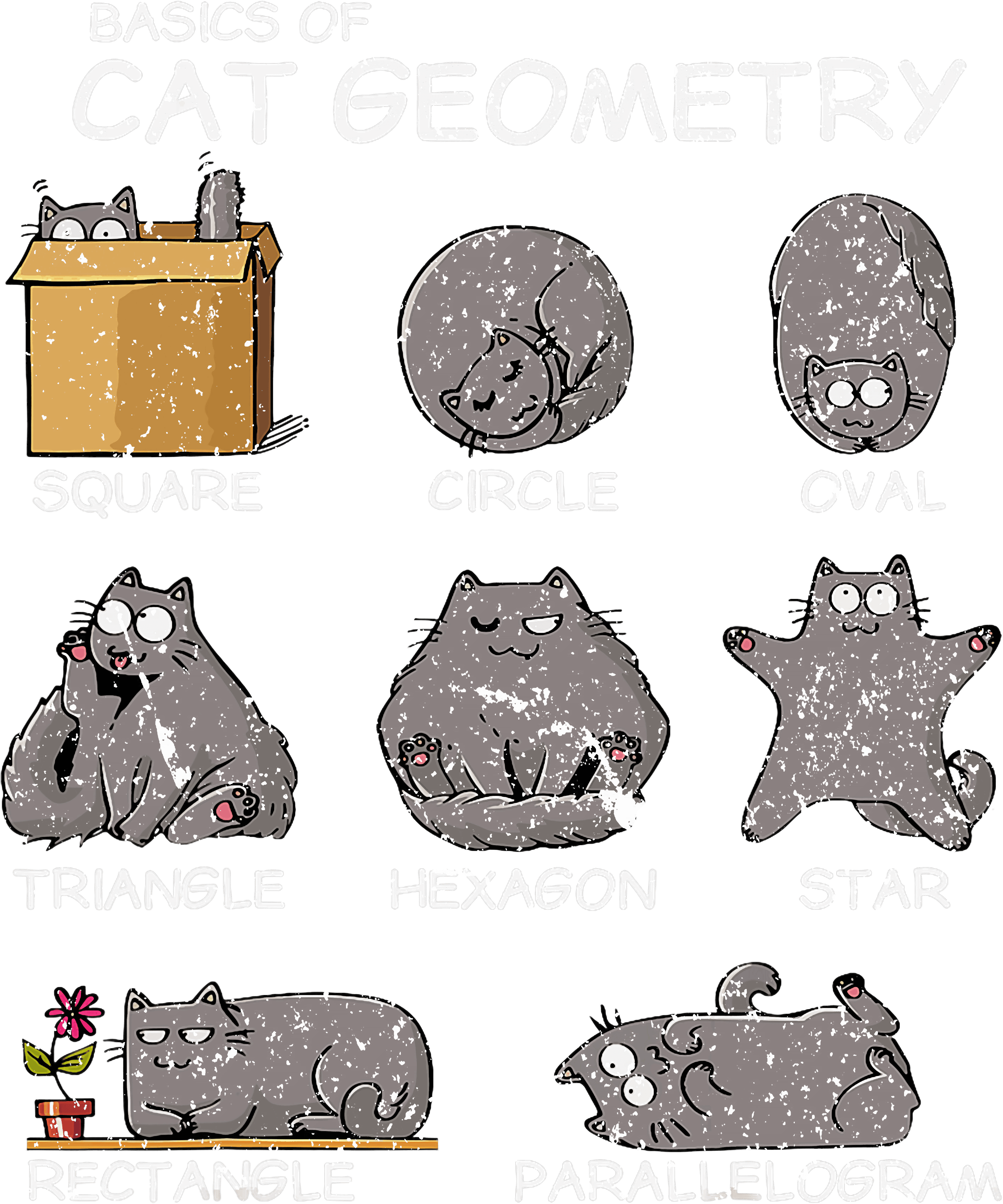 The Geometry Of Cats DTF Transfer