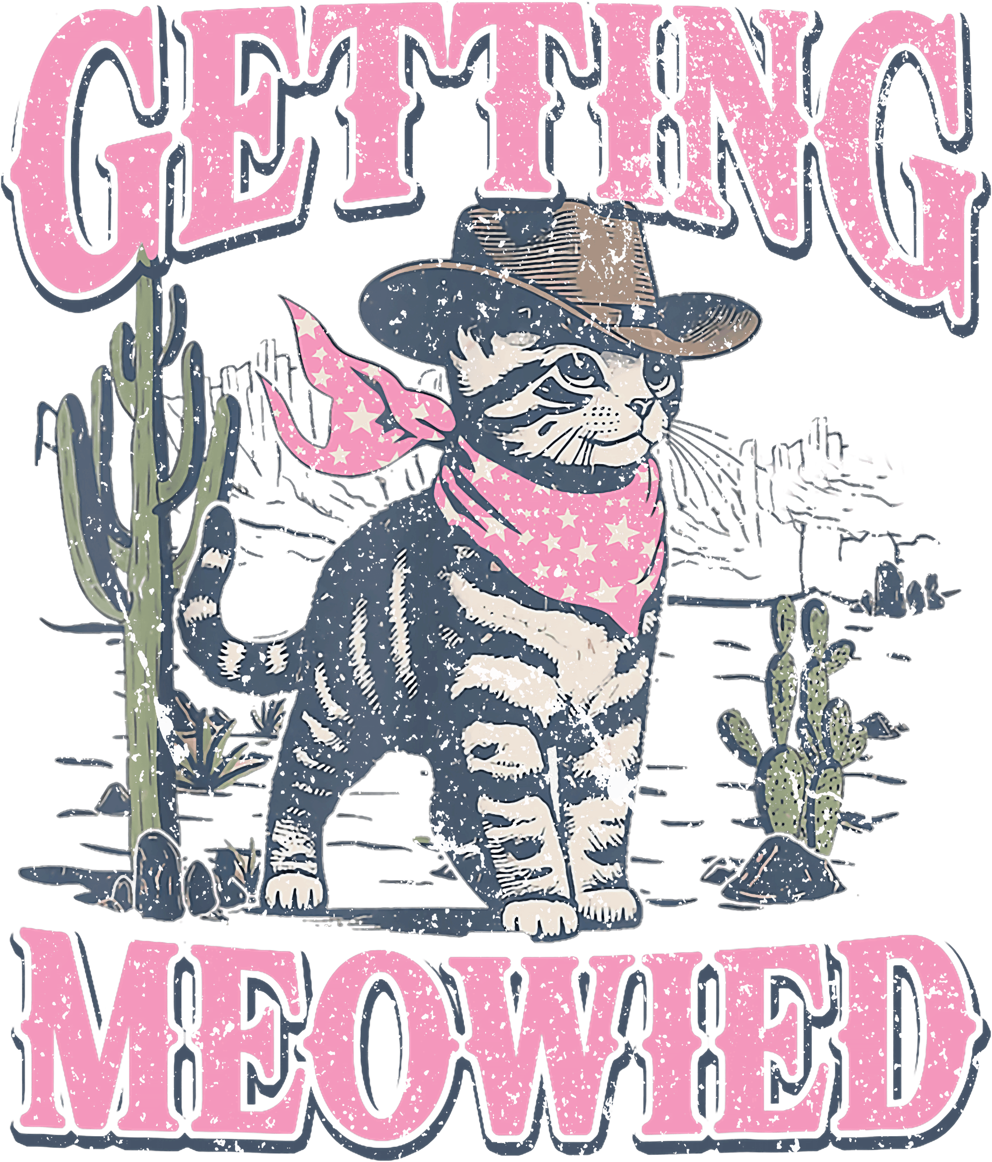 Cowboy Cat In The Desert DTF Transfer