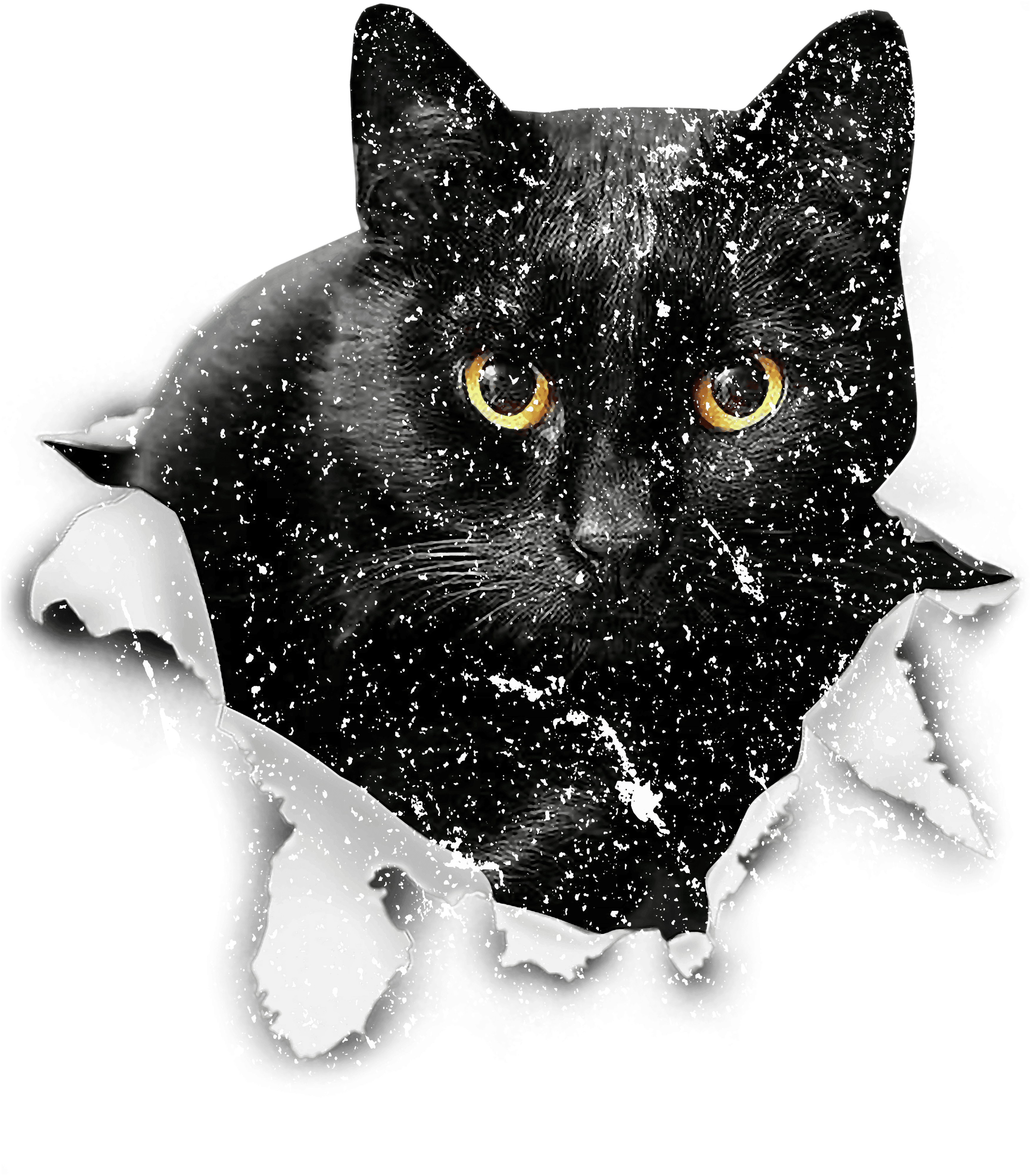 Mystery Black Cat Peeking Through Paper DTF Transfer