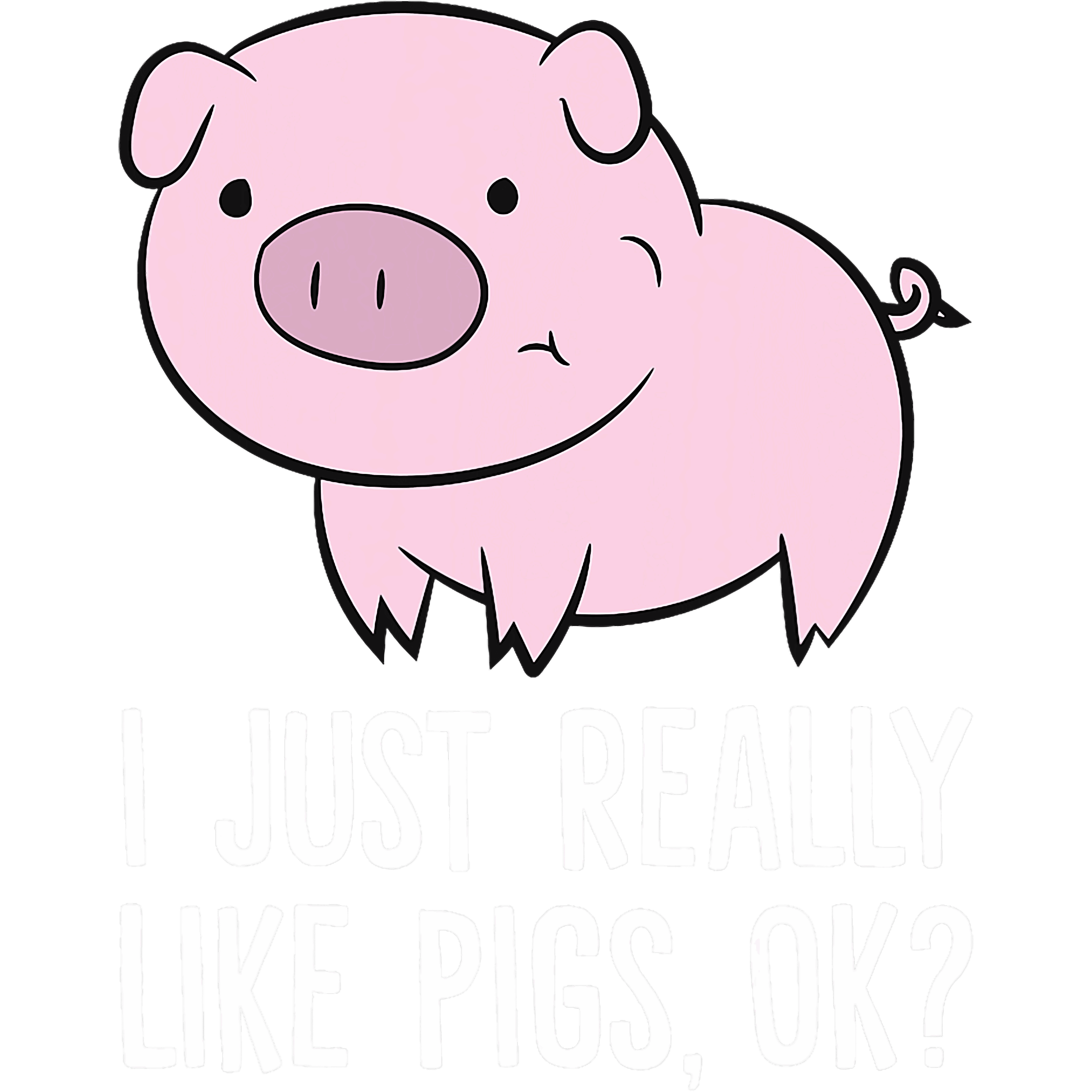 I Just Really Like Pigs Ok DTF Transfer