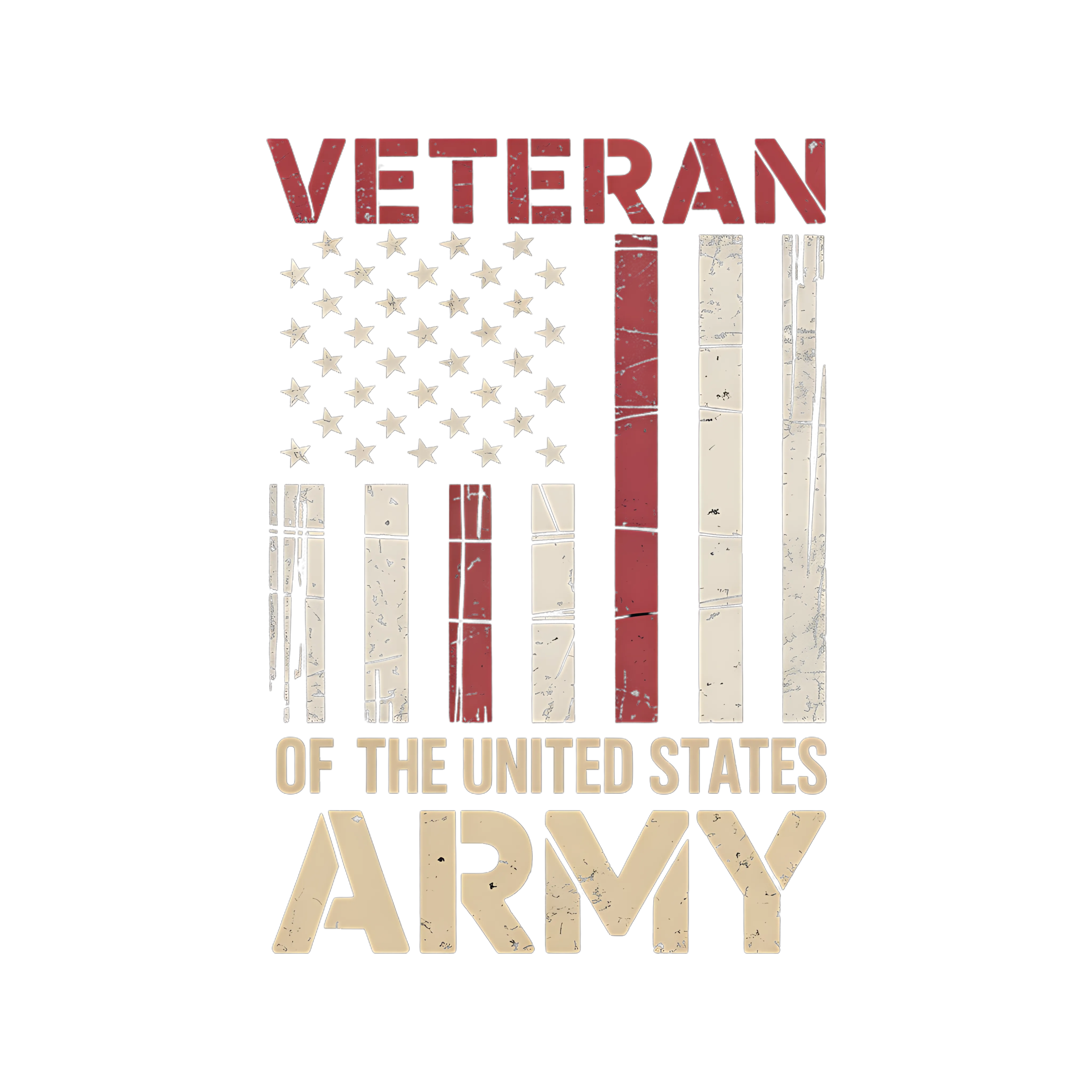 United States Army Veteran DTF Transfer