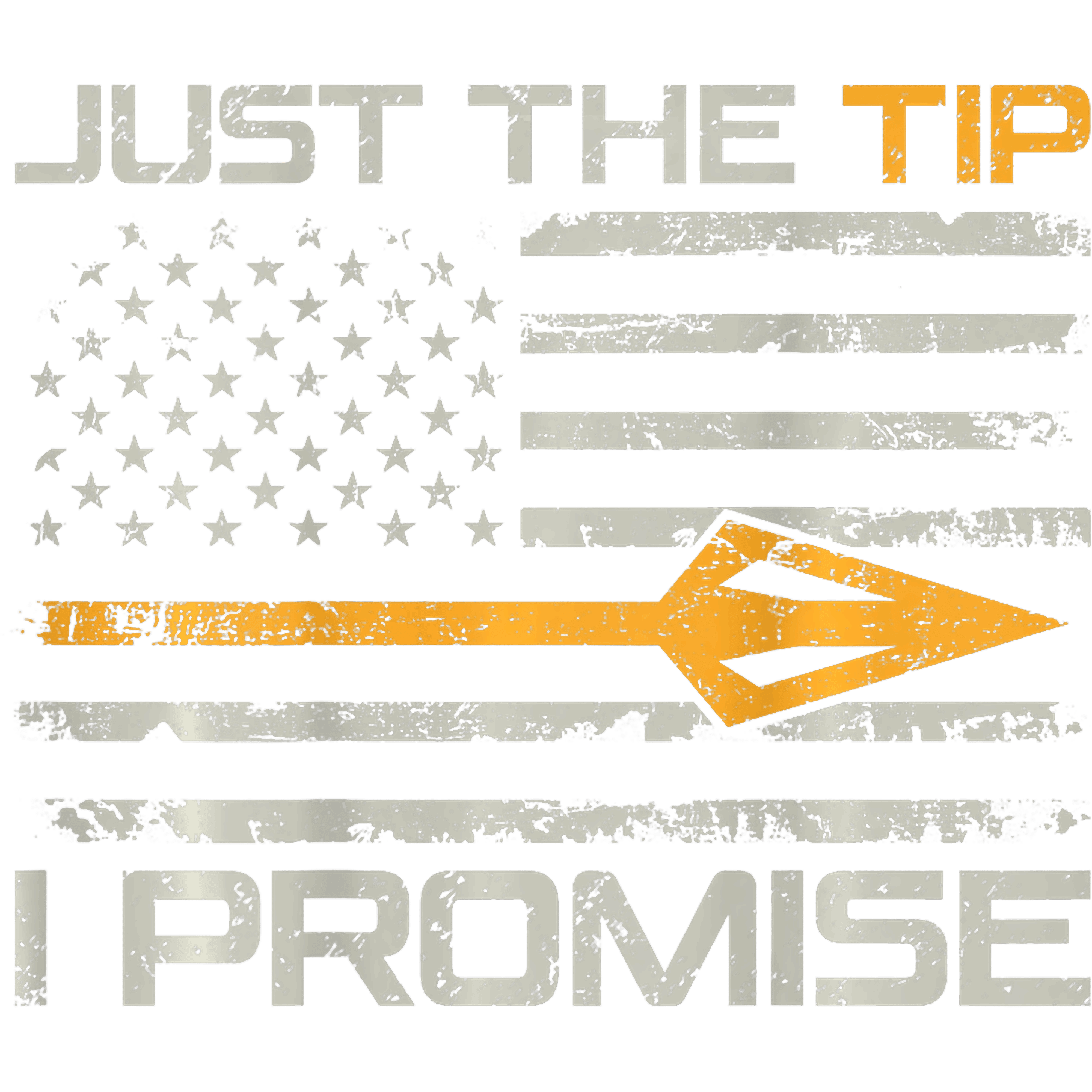Just The Tip I Promise Funny Fishing DTF Transfer