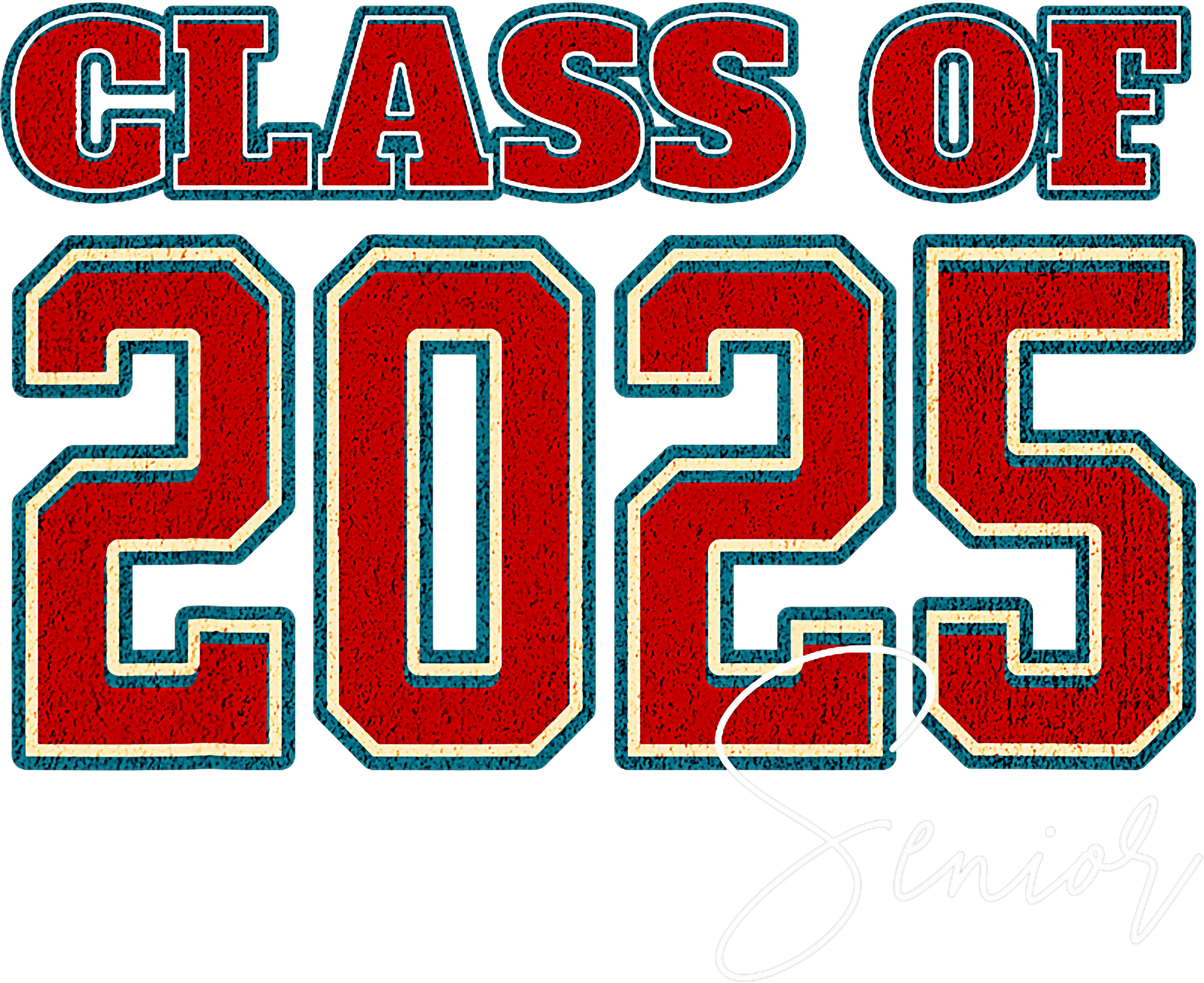 Class Of 2025 Senior Retro Vintage DTF Transfer