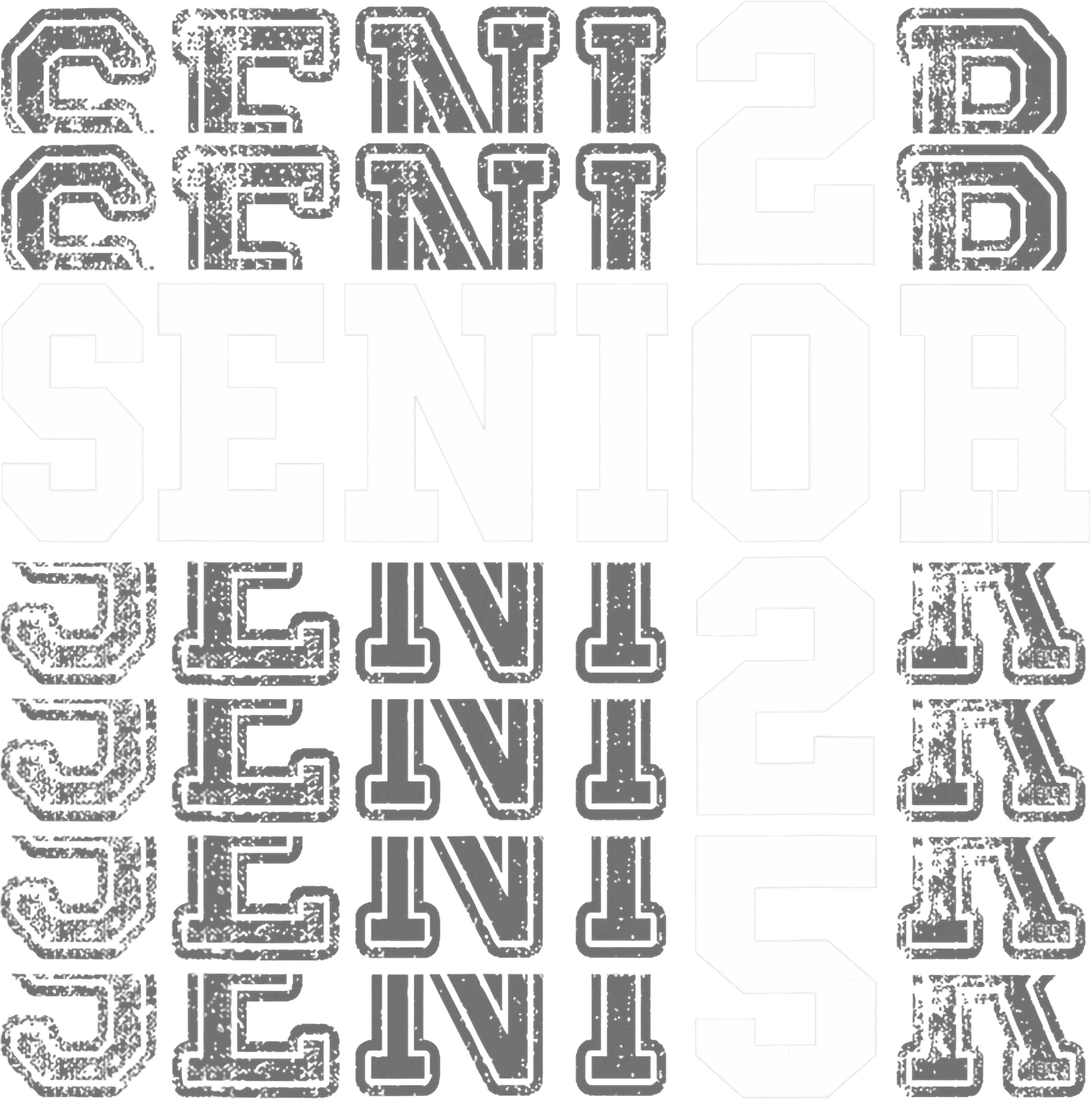 Class Of 2025 Senior Repeating Text DTF Transfer