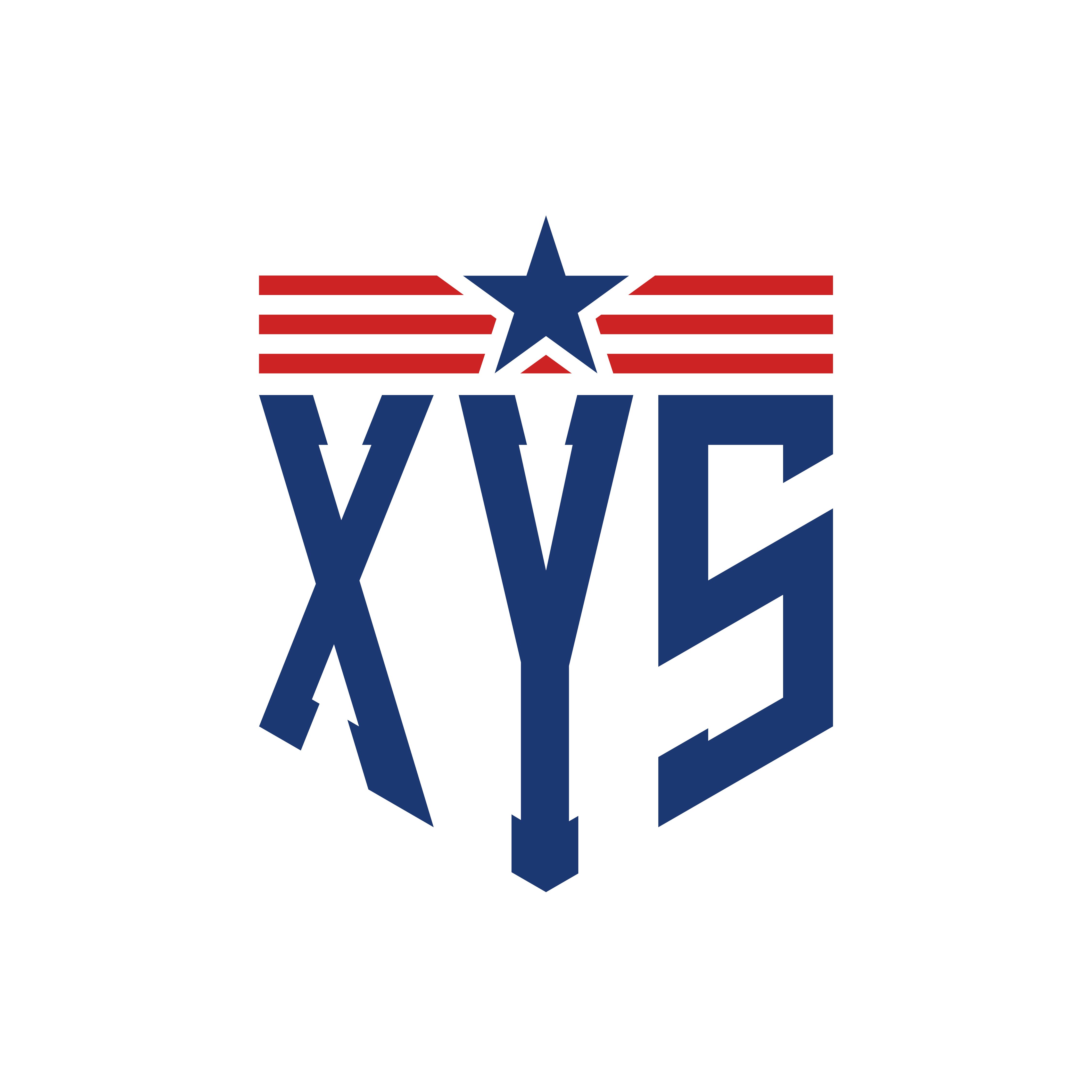 Patriotic Veteran Star Emblem DTF Transfer