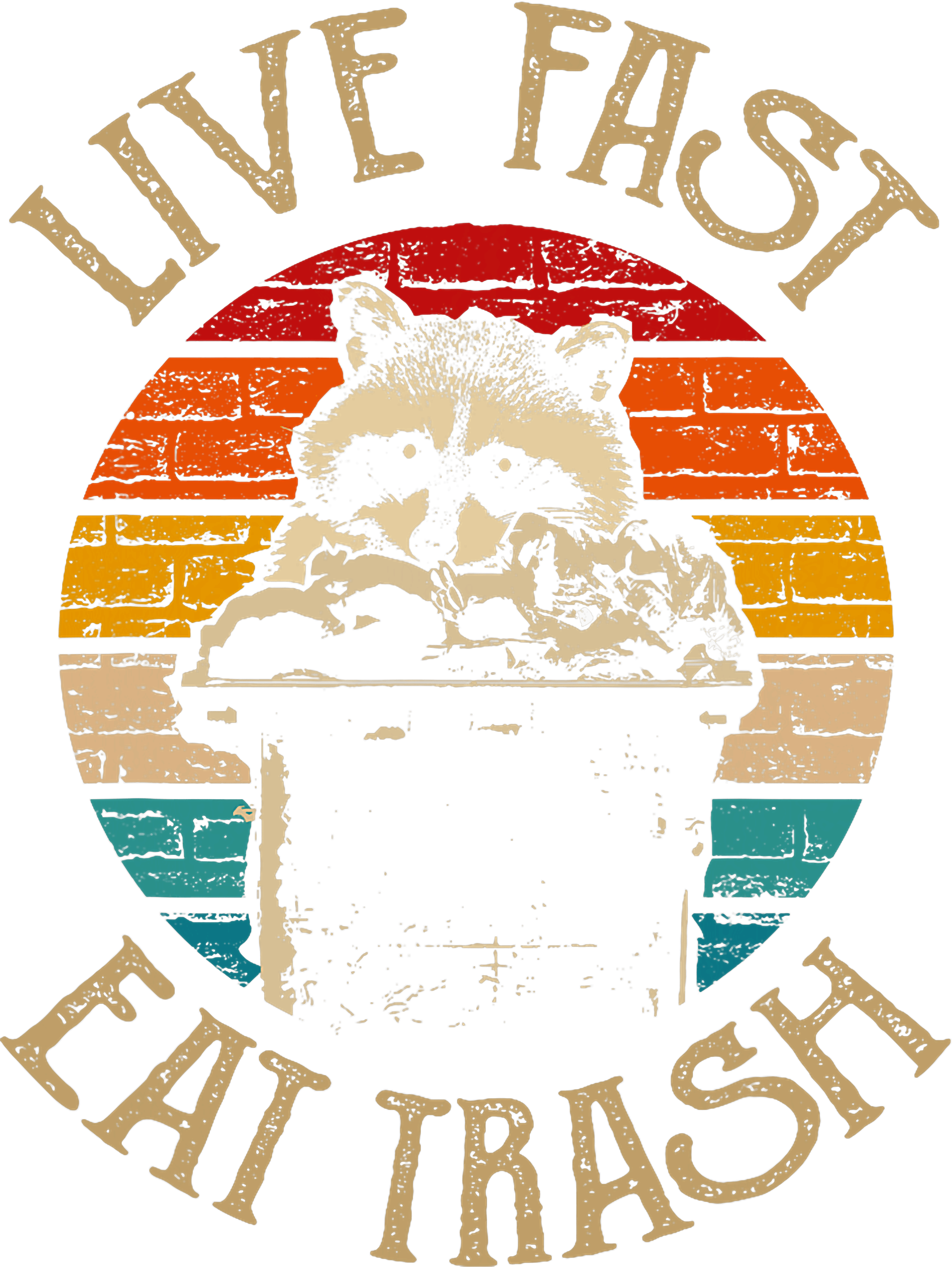 Live Fast Eat Trash Funny Raccoon DTF Transfer