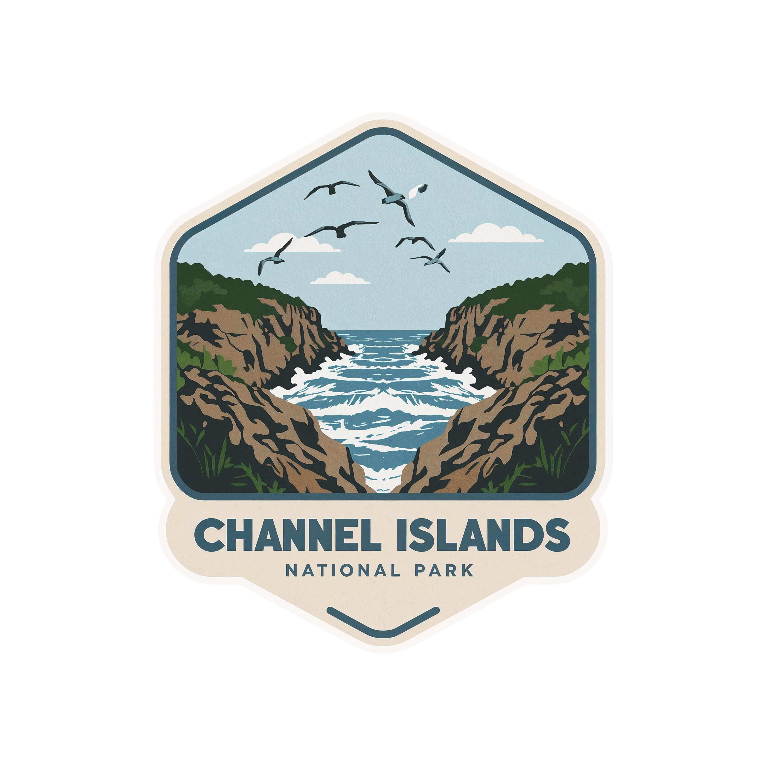 Channel Islands National Park DTF Transfer