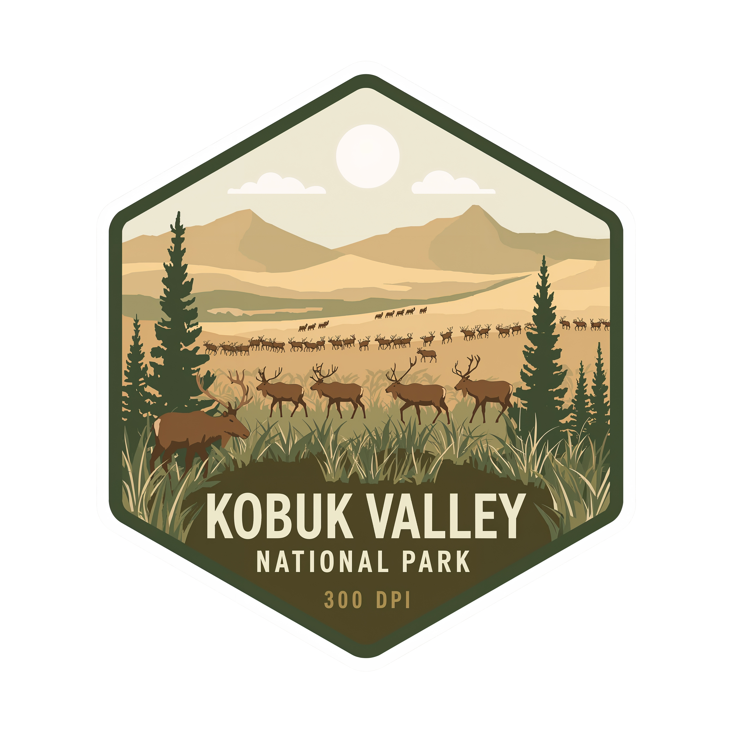 Kobuk Valley National Park DTF Transfer