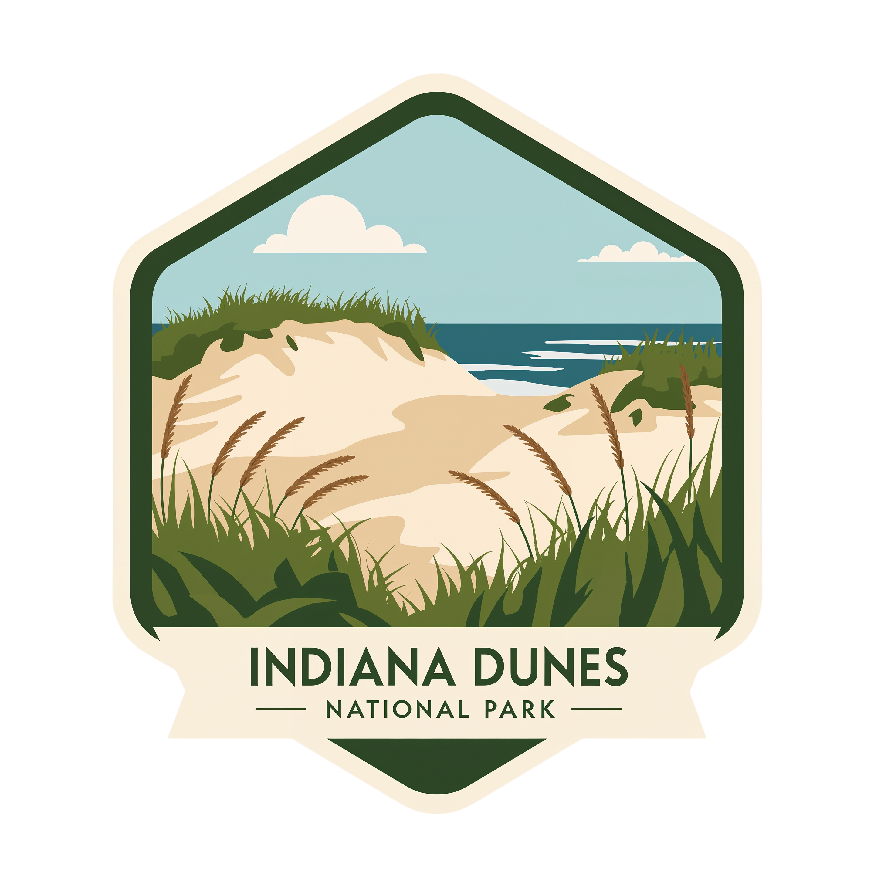 Indiana Dunes National Park DTF Transfer