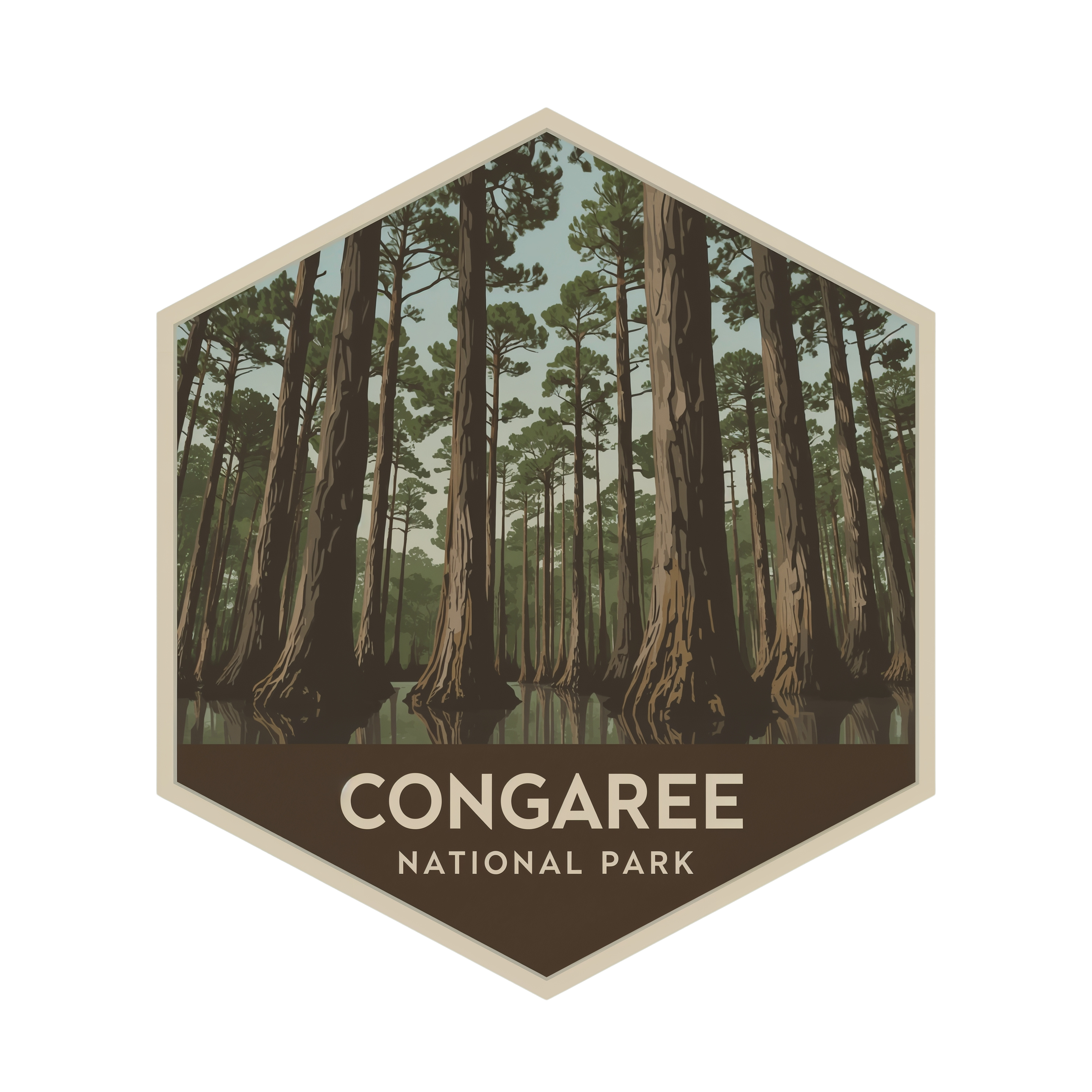 Congaree National Park DTF Transfer