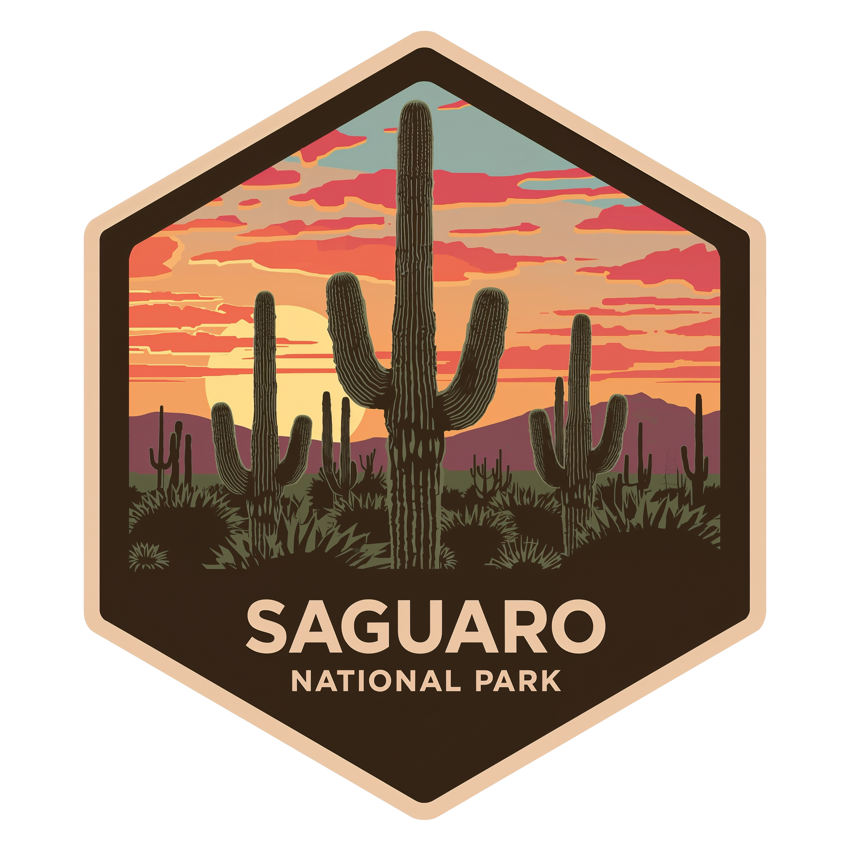 Saguaro National Park DTF Transfer
