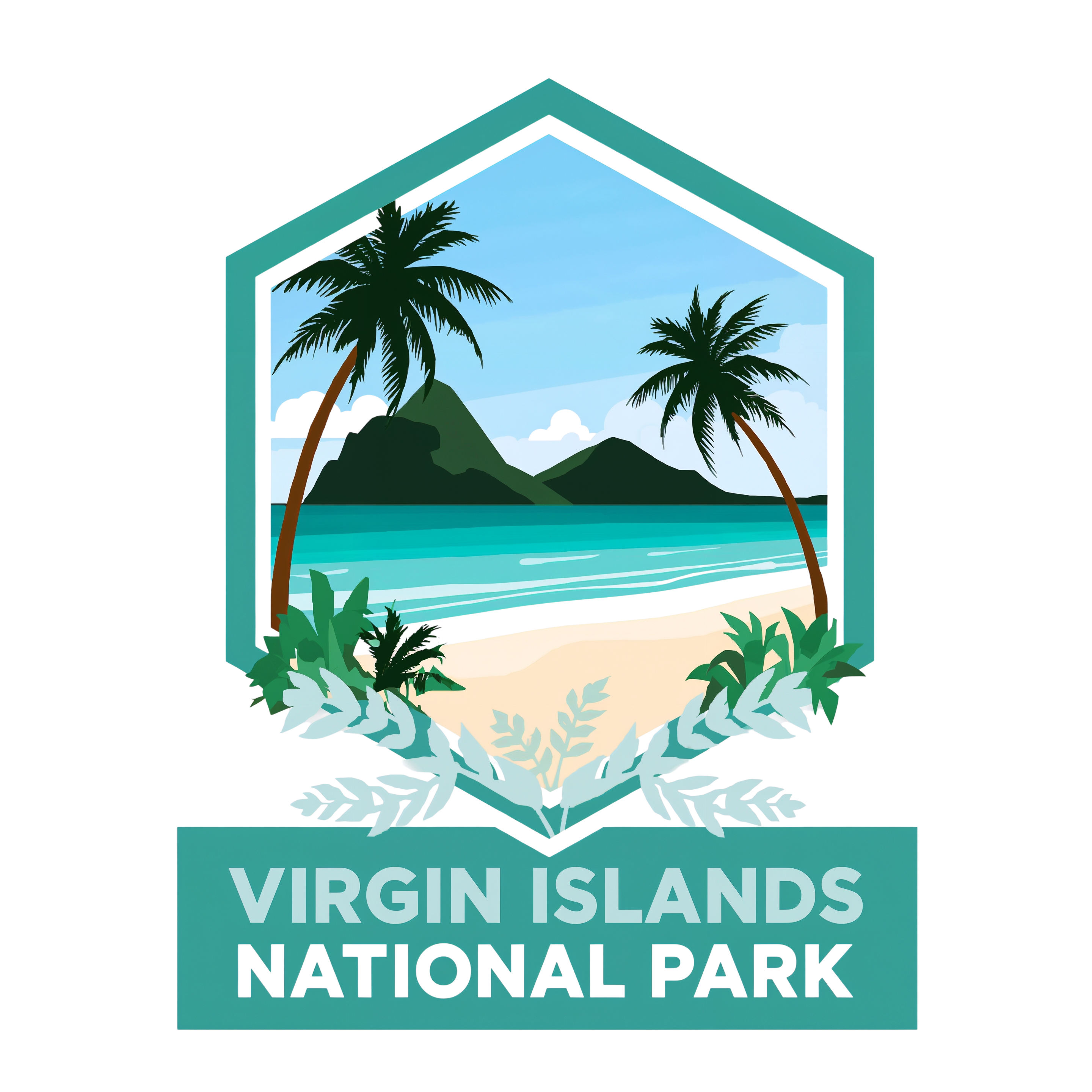 Virgin Islands National Park DTF Transfer