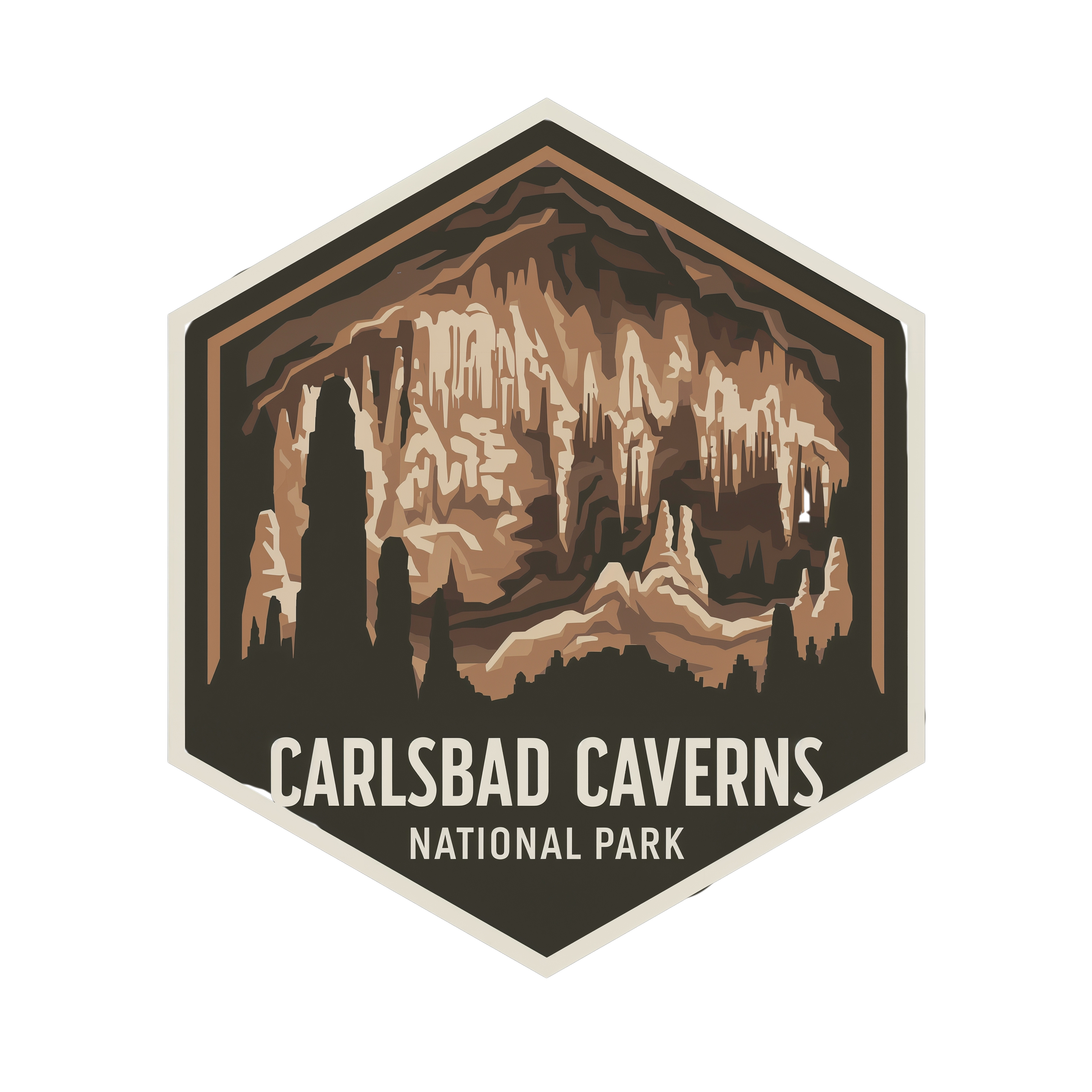 Carlsbad Caverns National Park DTF Transfer