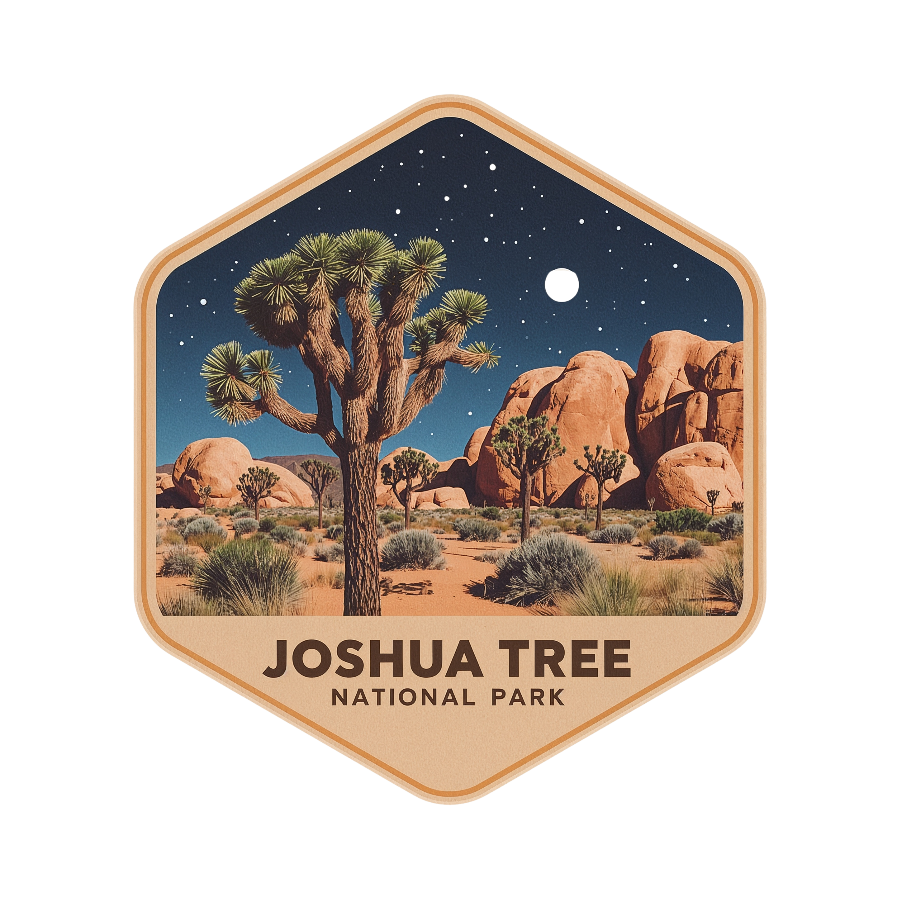 Joshua Tree National Park DTF Transfer