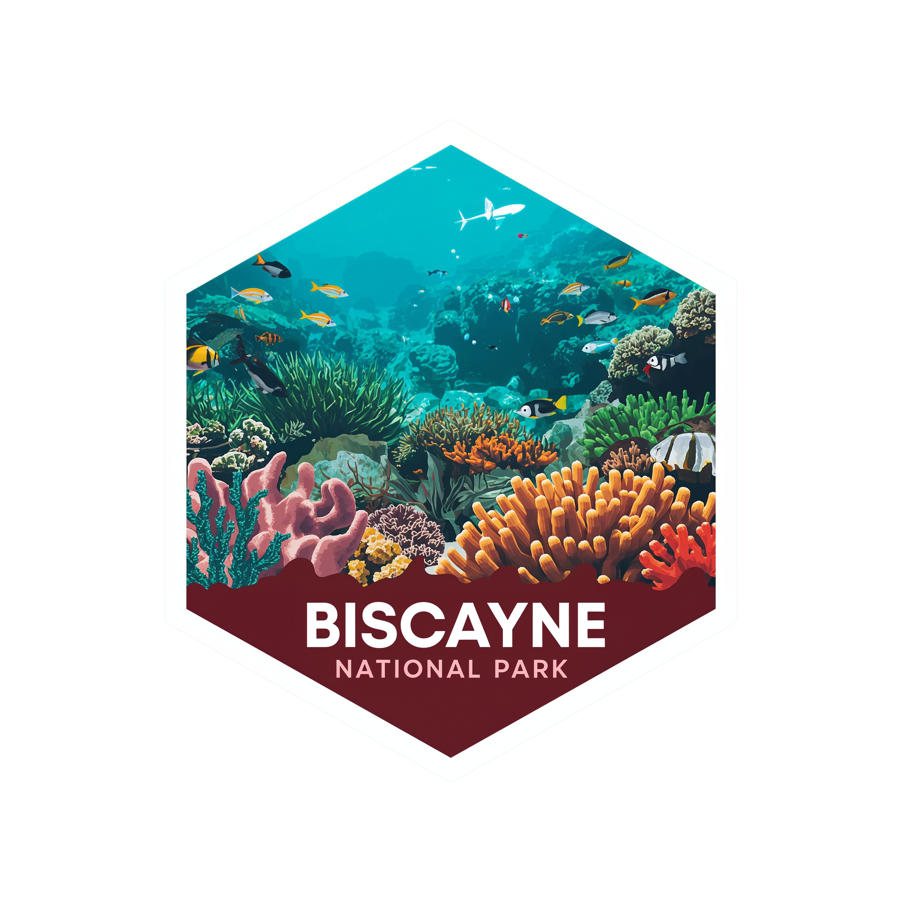 Biscayne National Park DTF Transfer