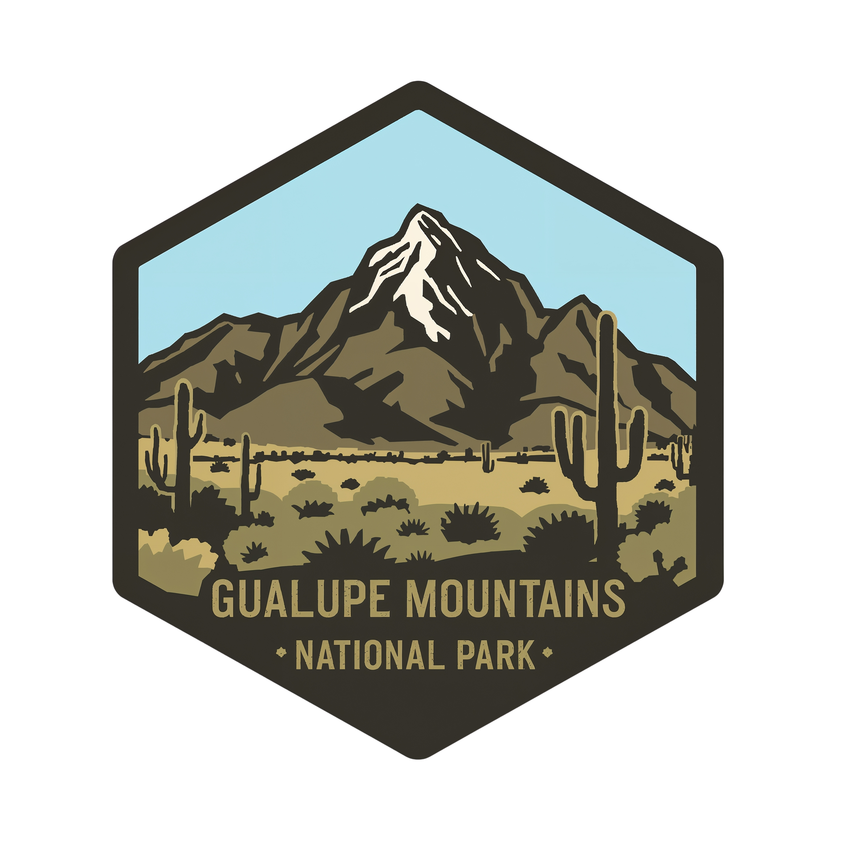 Guadalupe Mountains National Park DTF Transfer