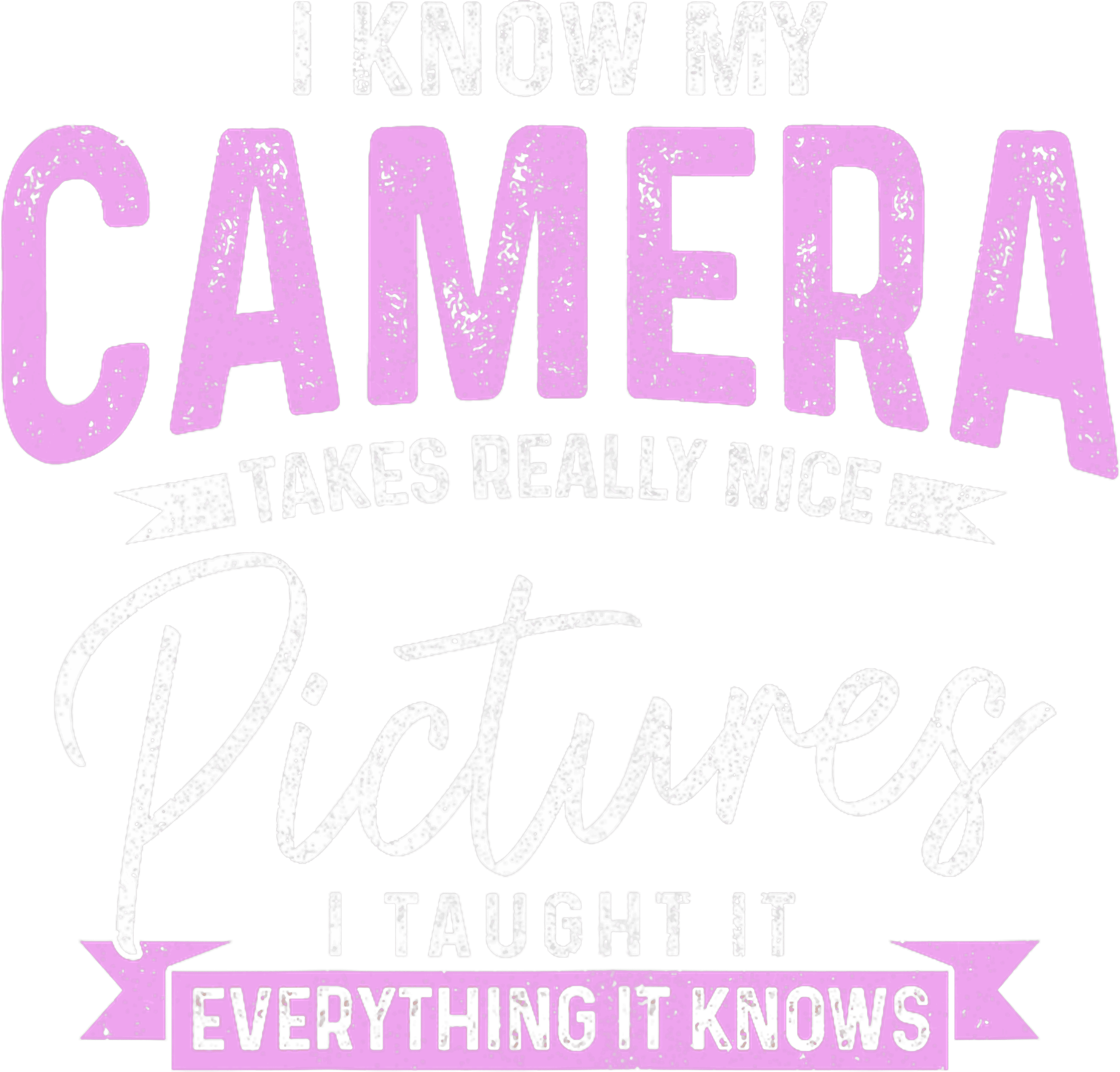 I Know My Camera Takes Really Nice Pictures DTF Transfer