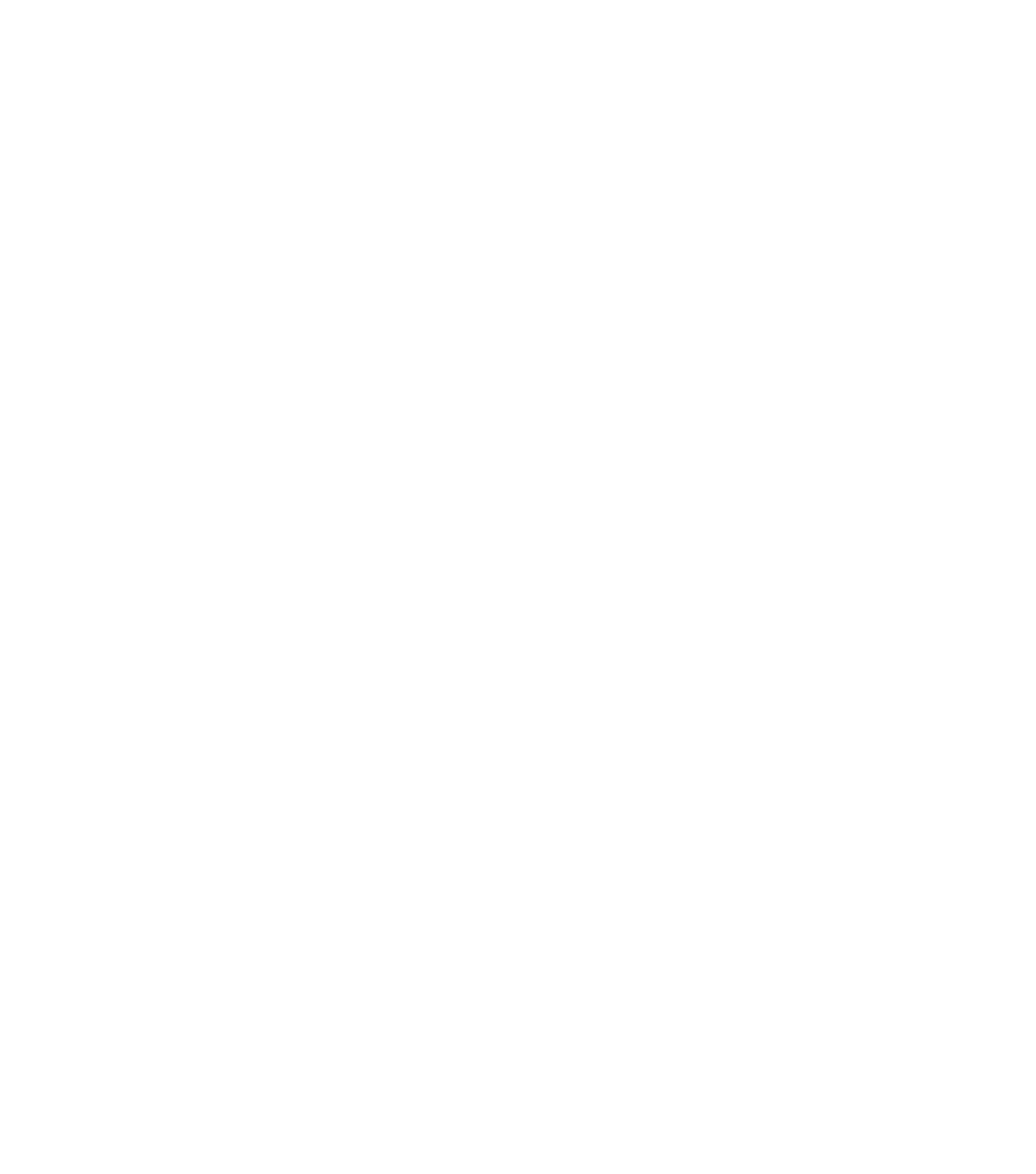 Photographer Gear Collection DTF Transfer