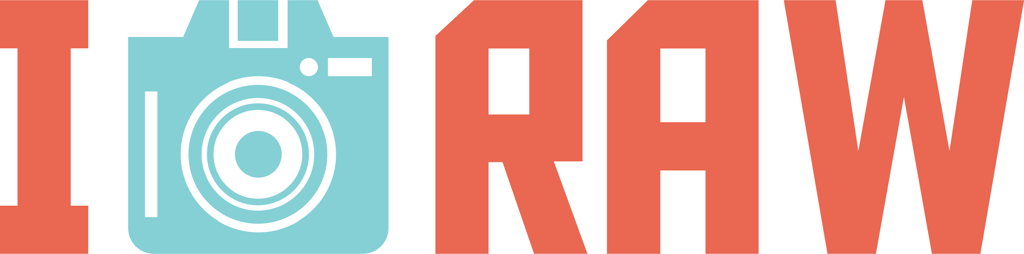 Raw Photography Camera DTF Transfer
