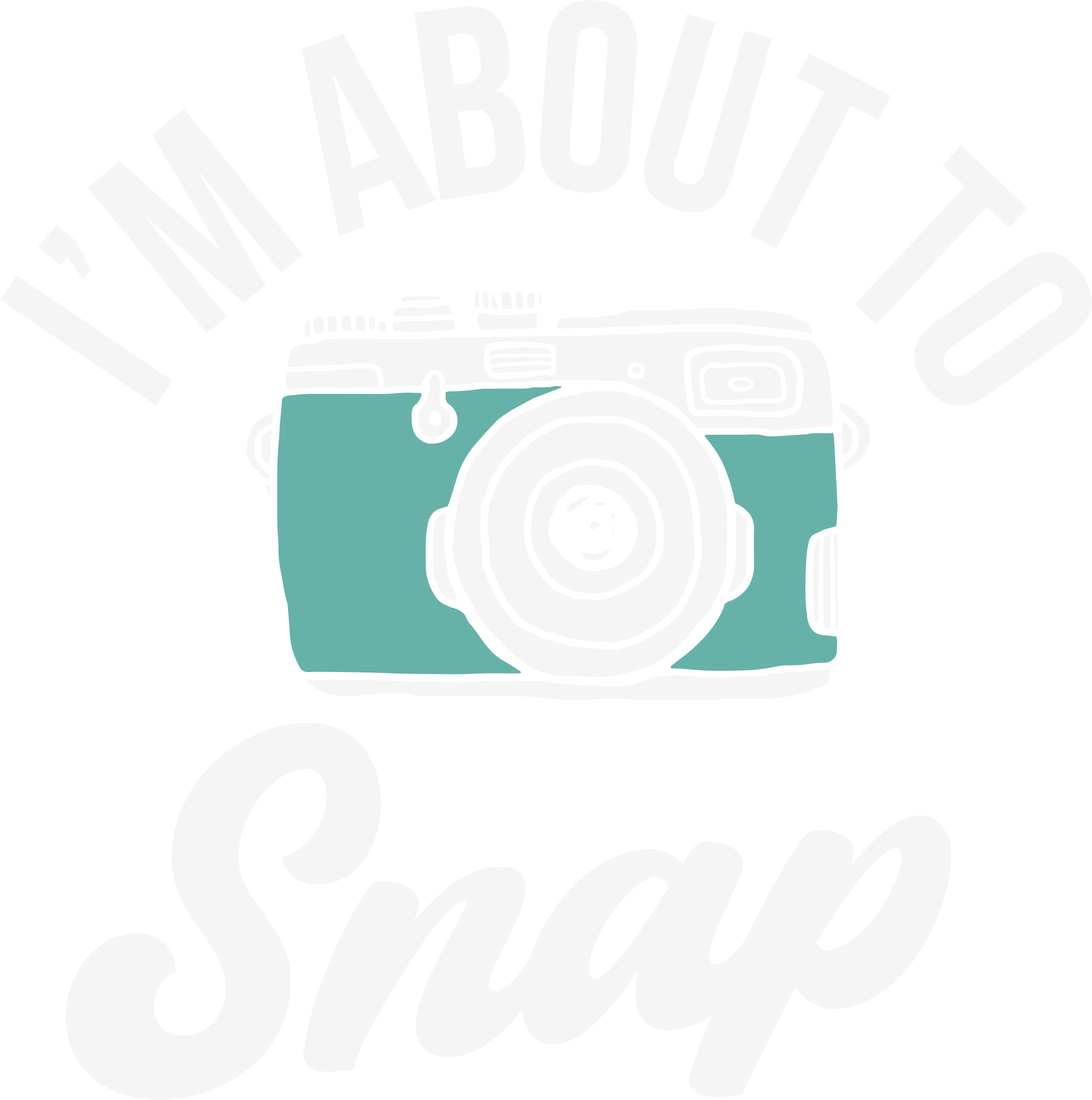 About To Snap Photography DTF Transfer