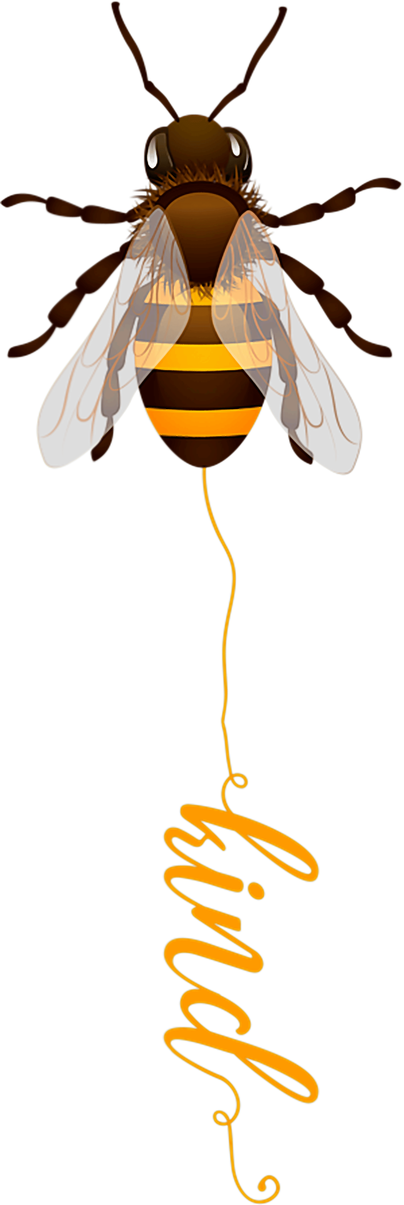 Bee Kind DTF Transfer