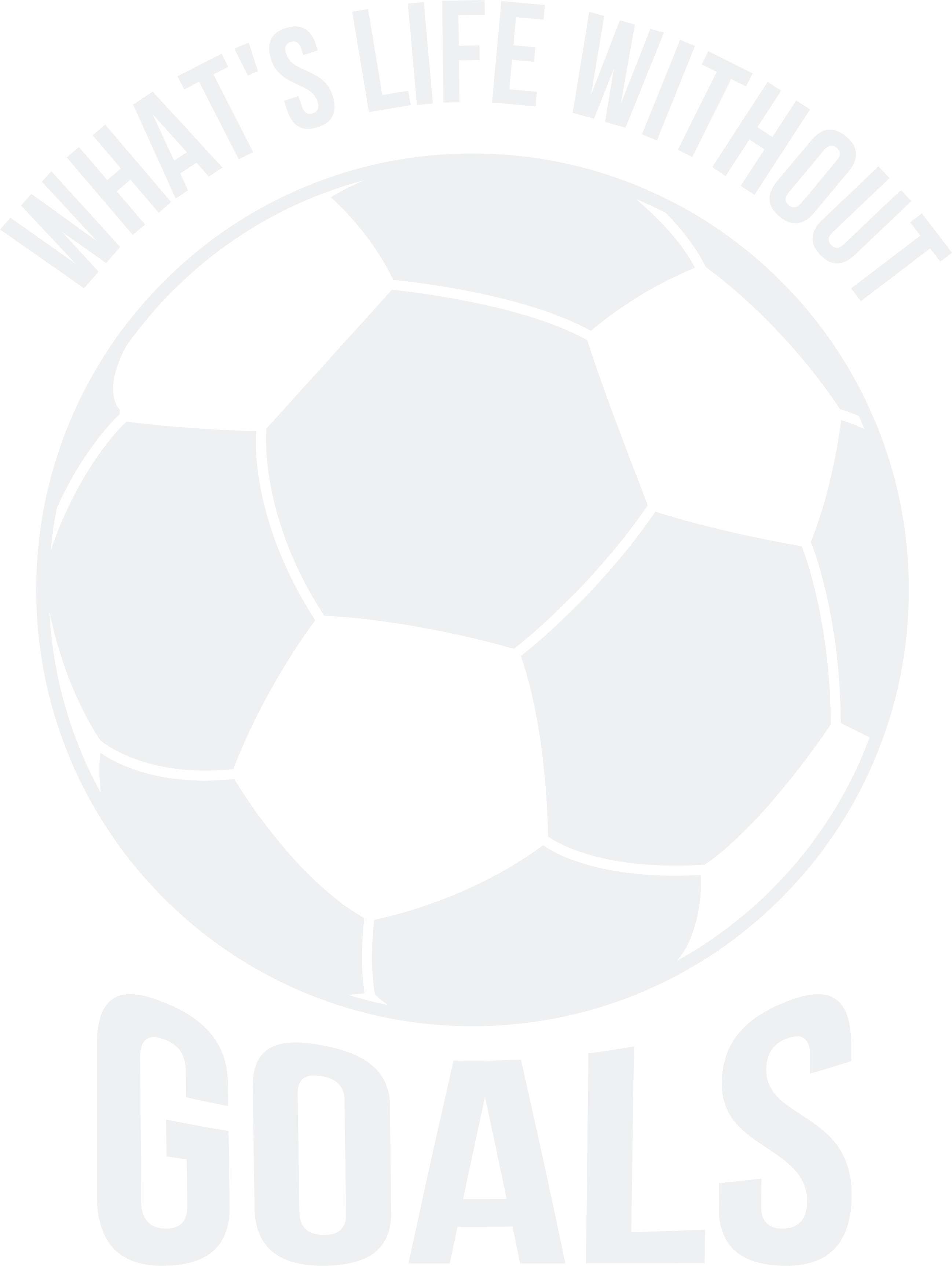 Whats Life Without Goals DTF Transfer