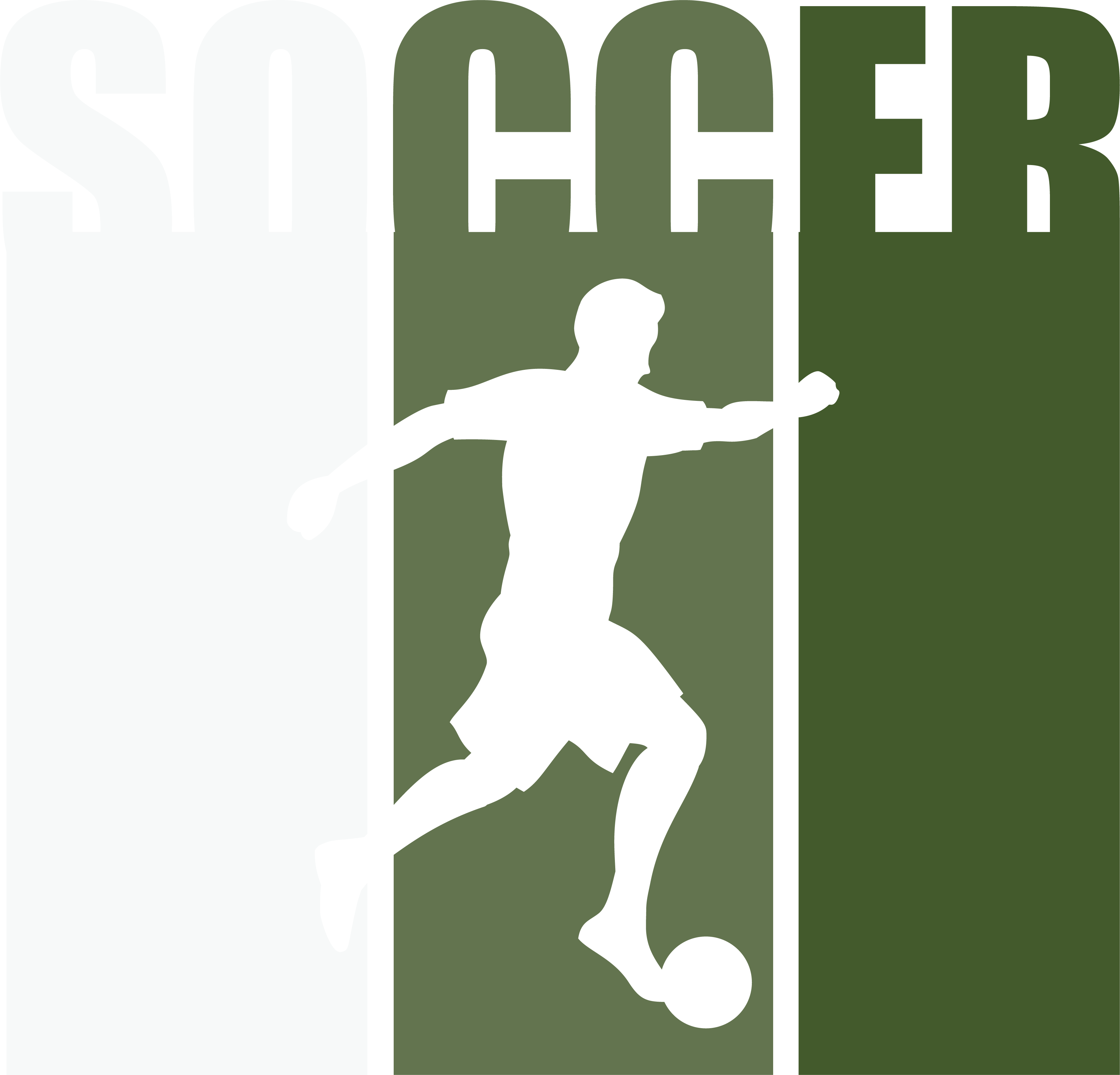 Soccer Vertical DTF Transfer