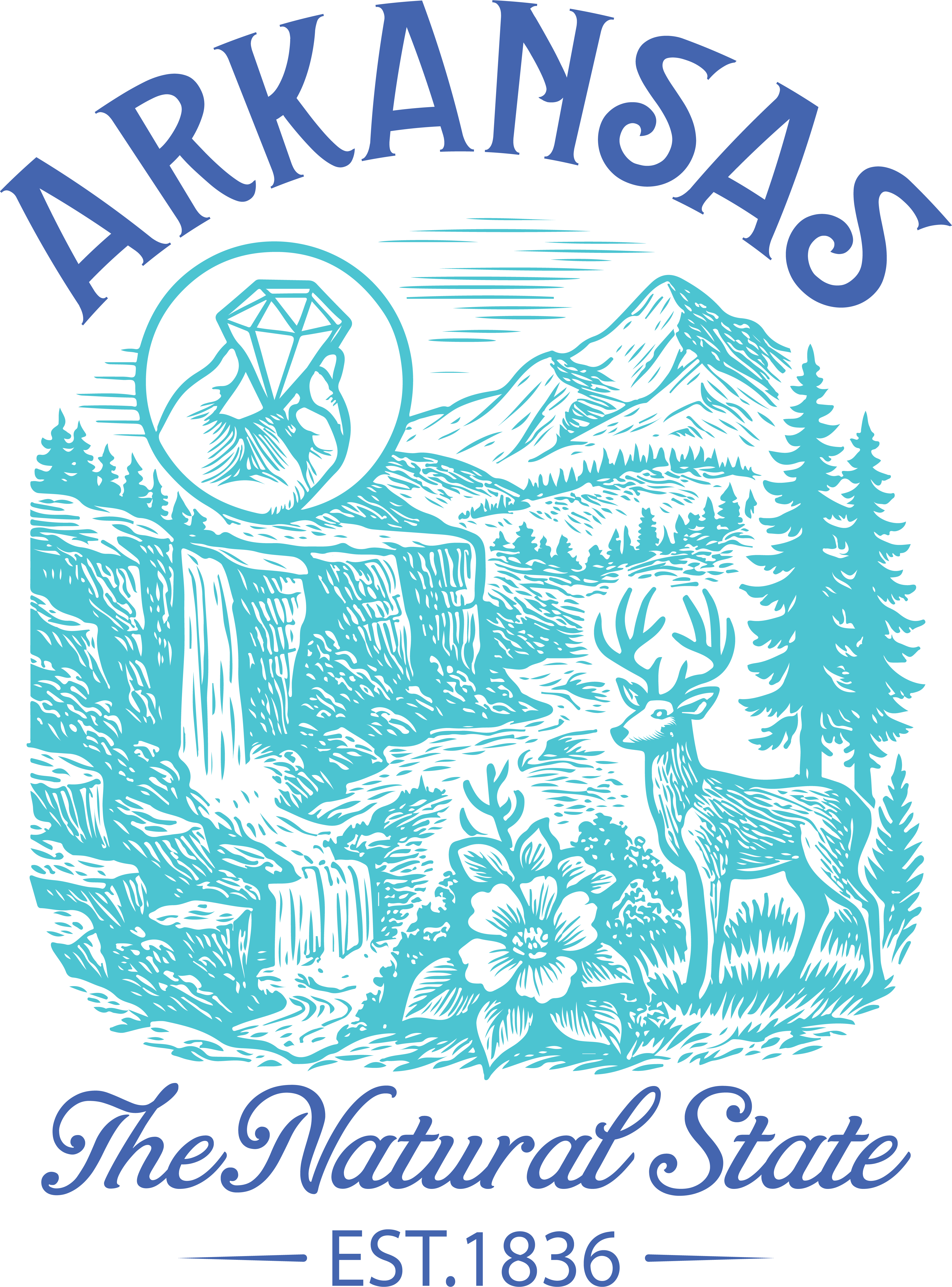 Arkansas Natural State Wilderness DTF Transfer