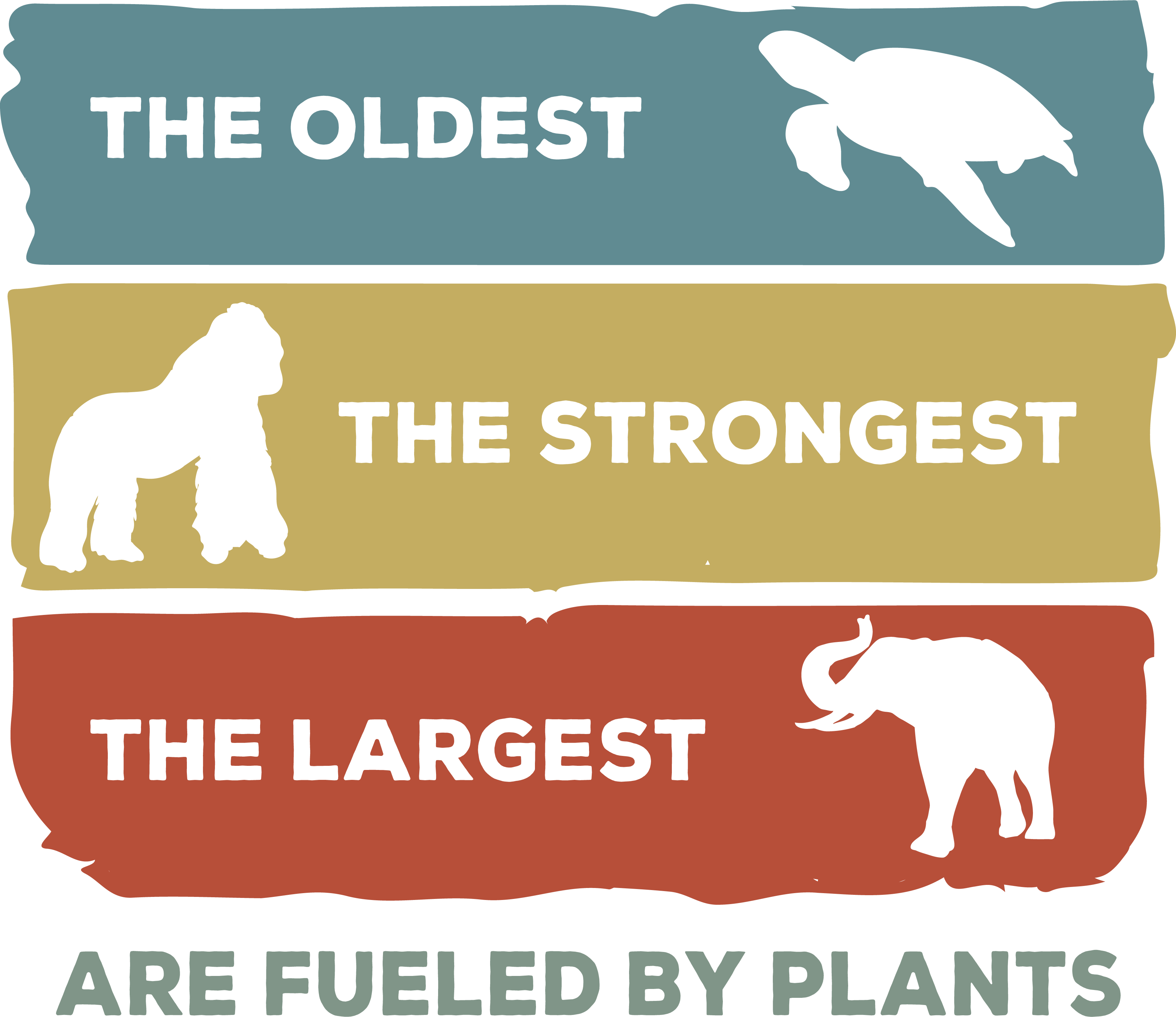 The Oldest The Strongest DTF Transfer
