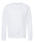 BELLA + CANVAS Unisex Sponge Fleece Raglan Crewneck Sweatshirt - 3901 - PH