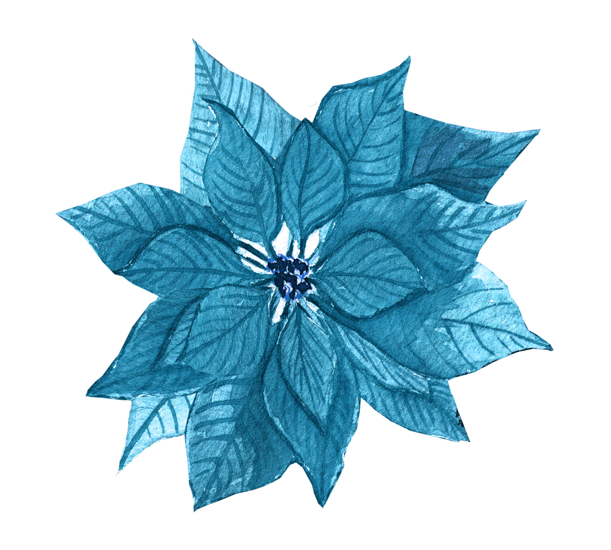 Blue Christmas Poinsettia DTF Transfer