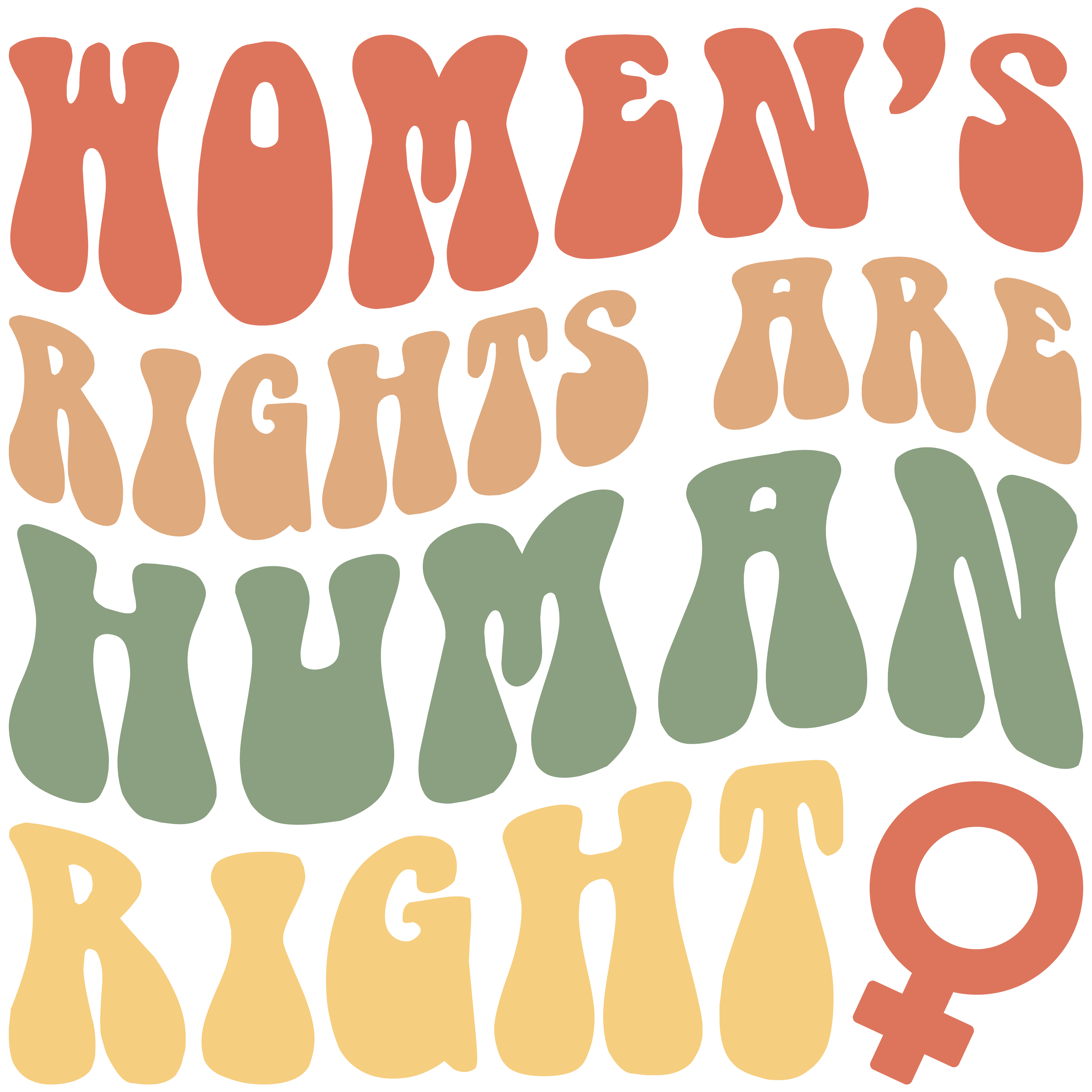 Womens Rights Are Human Rights Retro DTF Transfer