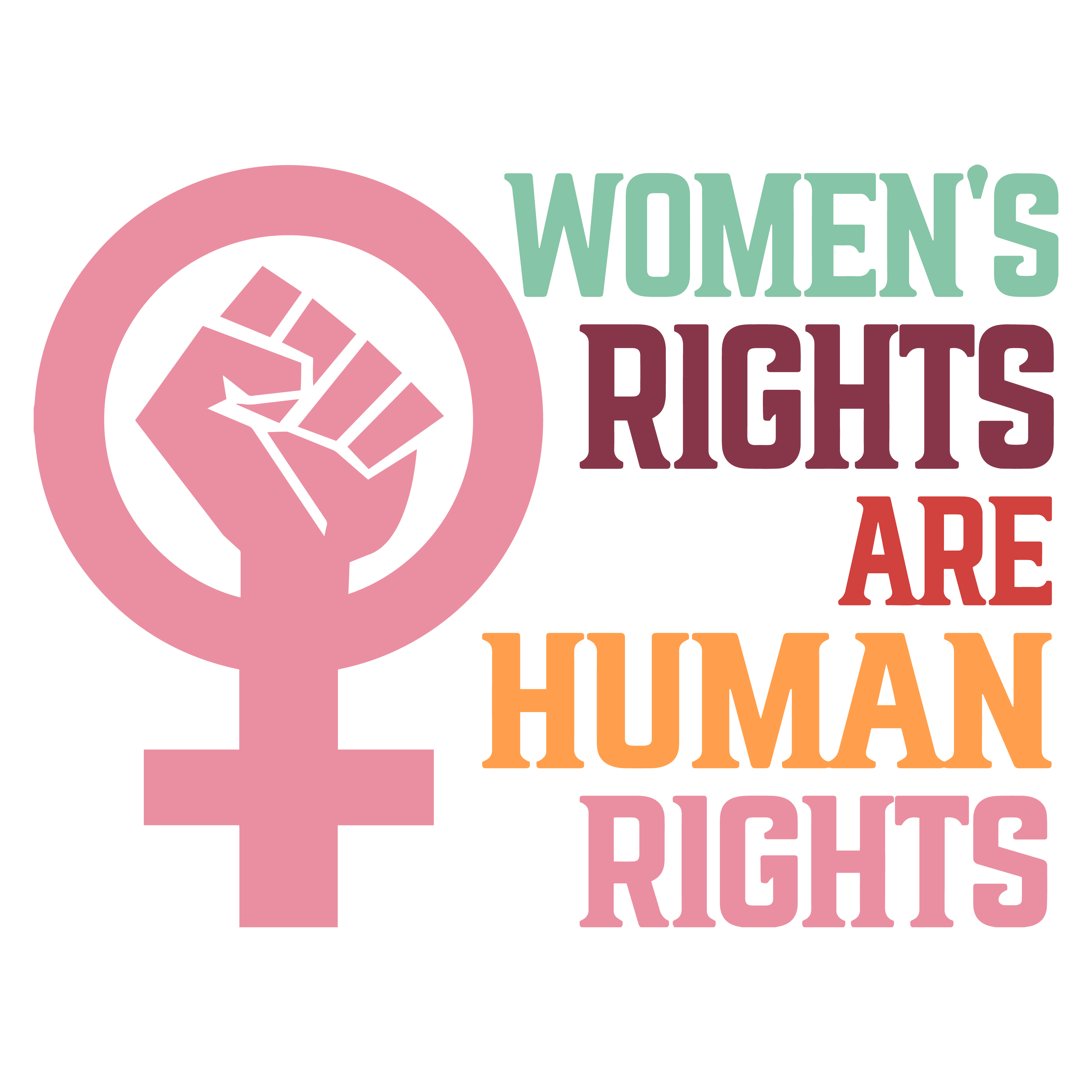 Womens Rights Are Human Rights Feminist DTF Transfer
